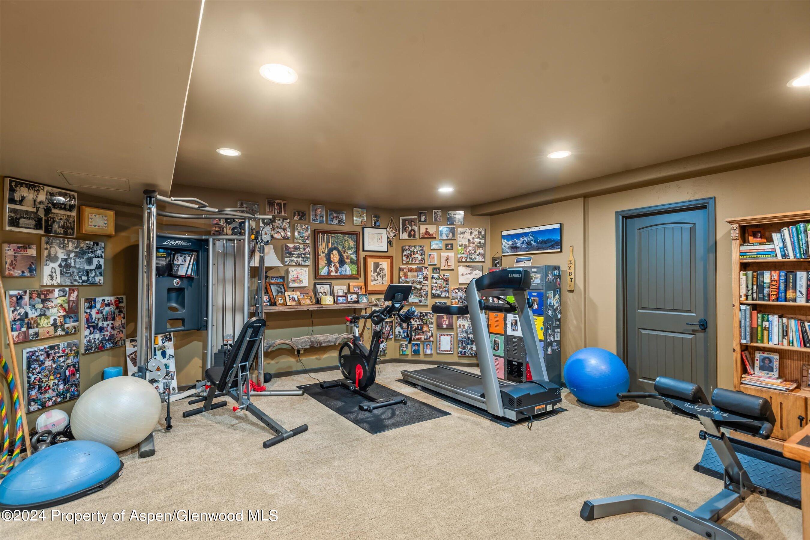893 Graceland Drive Carbondale CO 81623