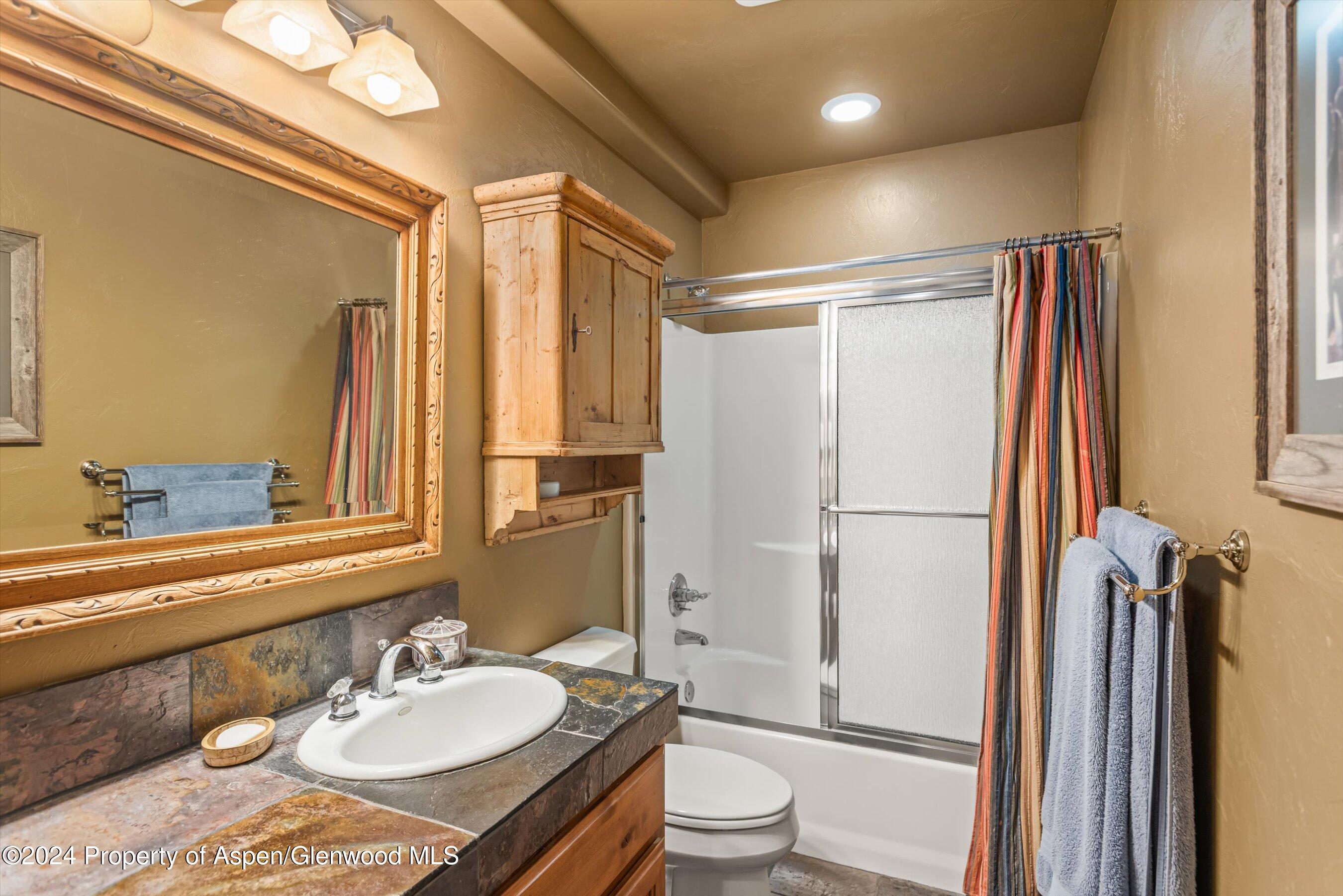 893 Graceland Drive Carbondale CO 81623