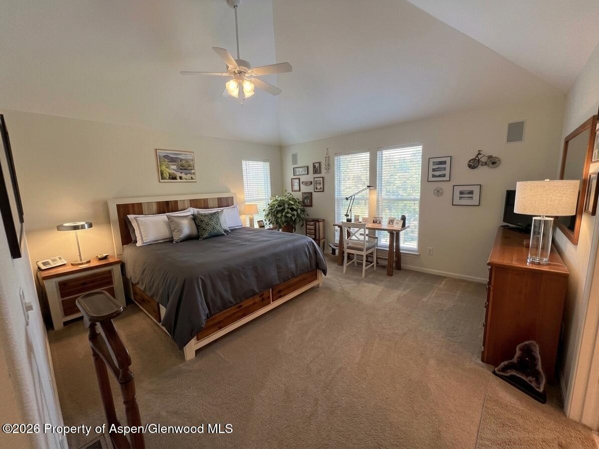 202 Holland Thompson Drive Carbondale CO 81623
