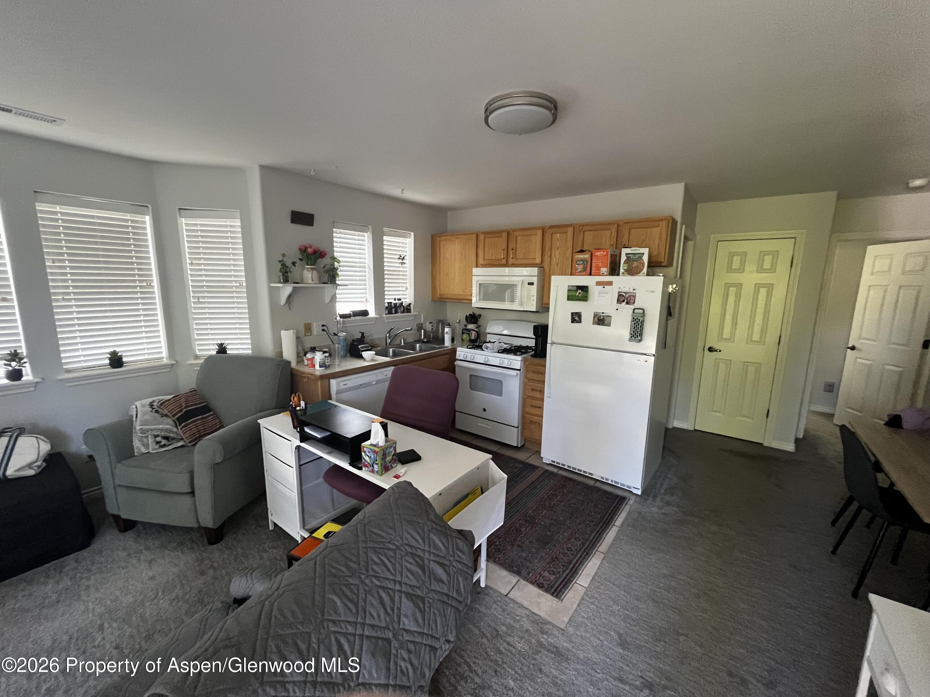 202 Holland Thompson Drive Carbondale CO 81623