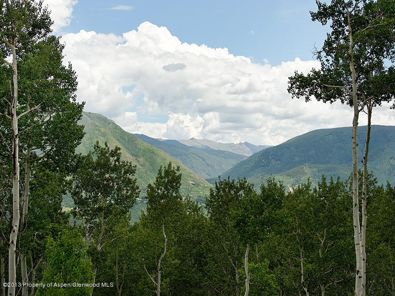 300 Eagle Pines Drive Aspen CO 81611