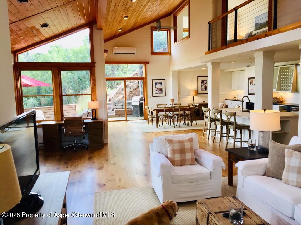 19 Mule Deer Run Snowmass CO 81654