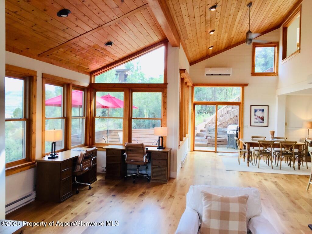 19 Mule Deer Run Snowmass CO 81654