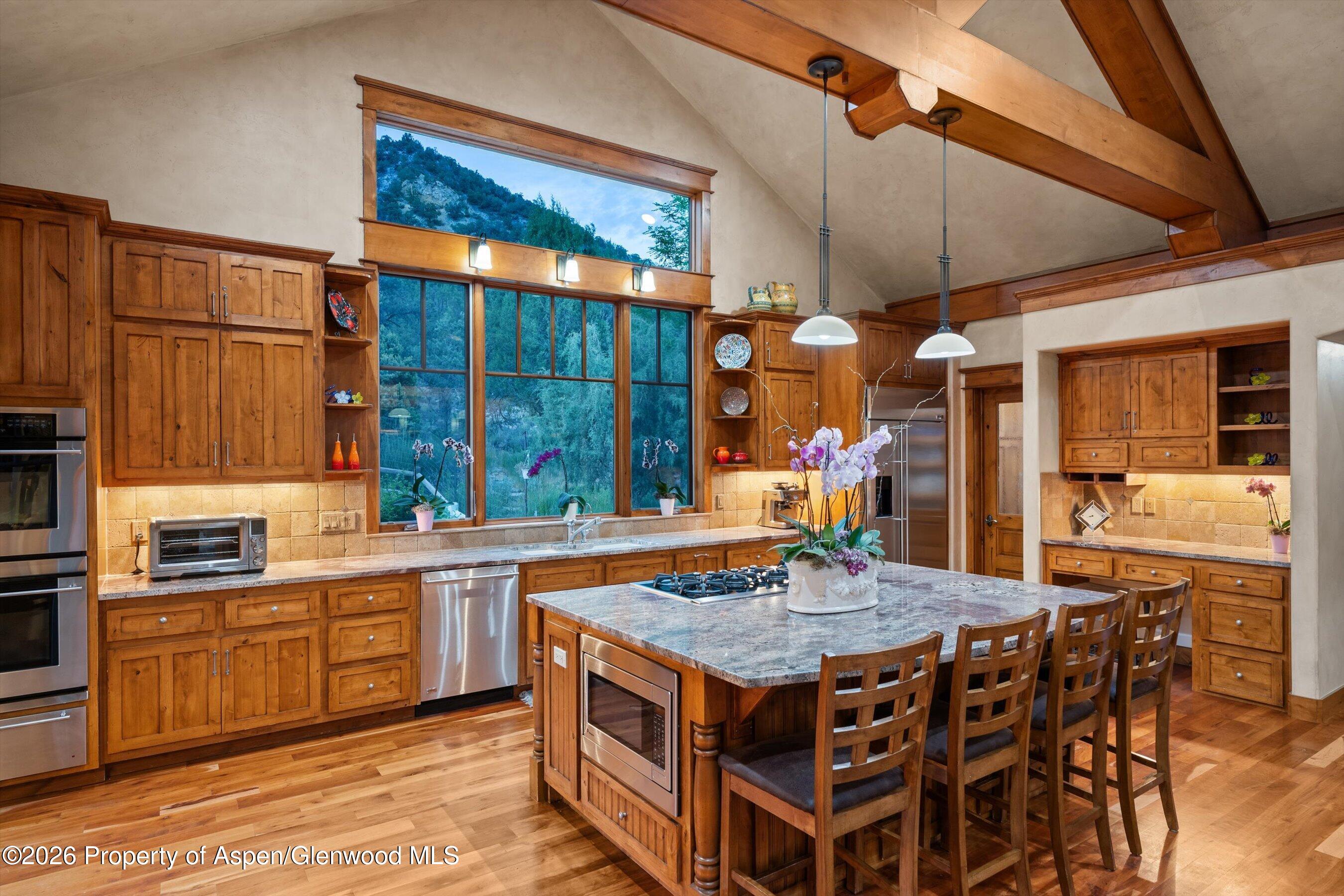 268 Larkspur Drive Carbondale CO 81623