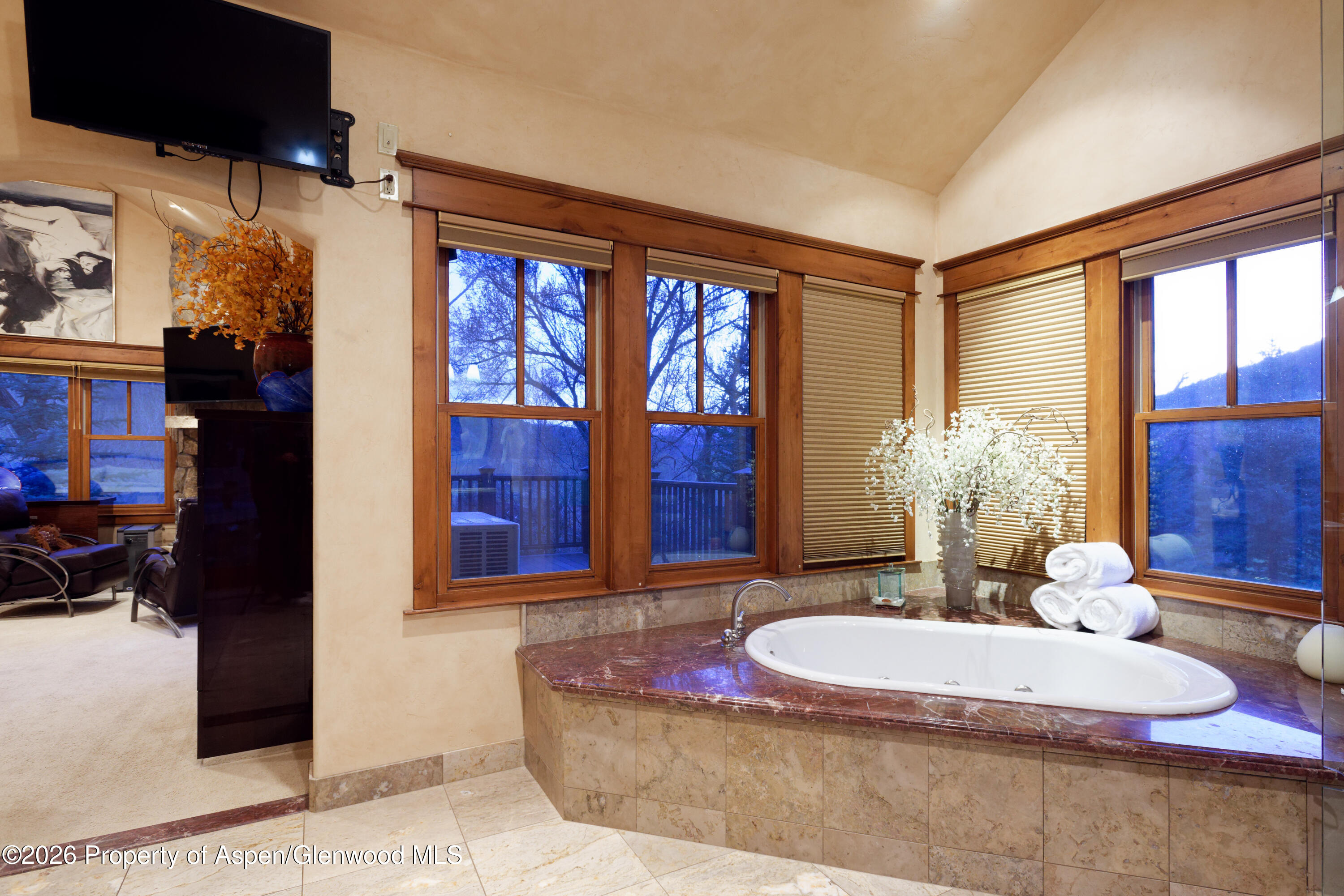 268 Larkspur Drive Carbondale CO 81623