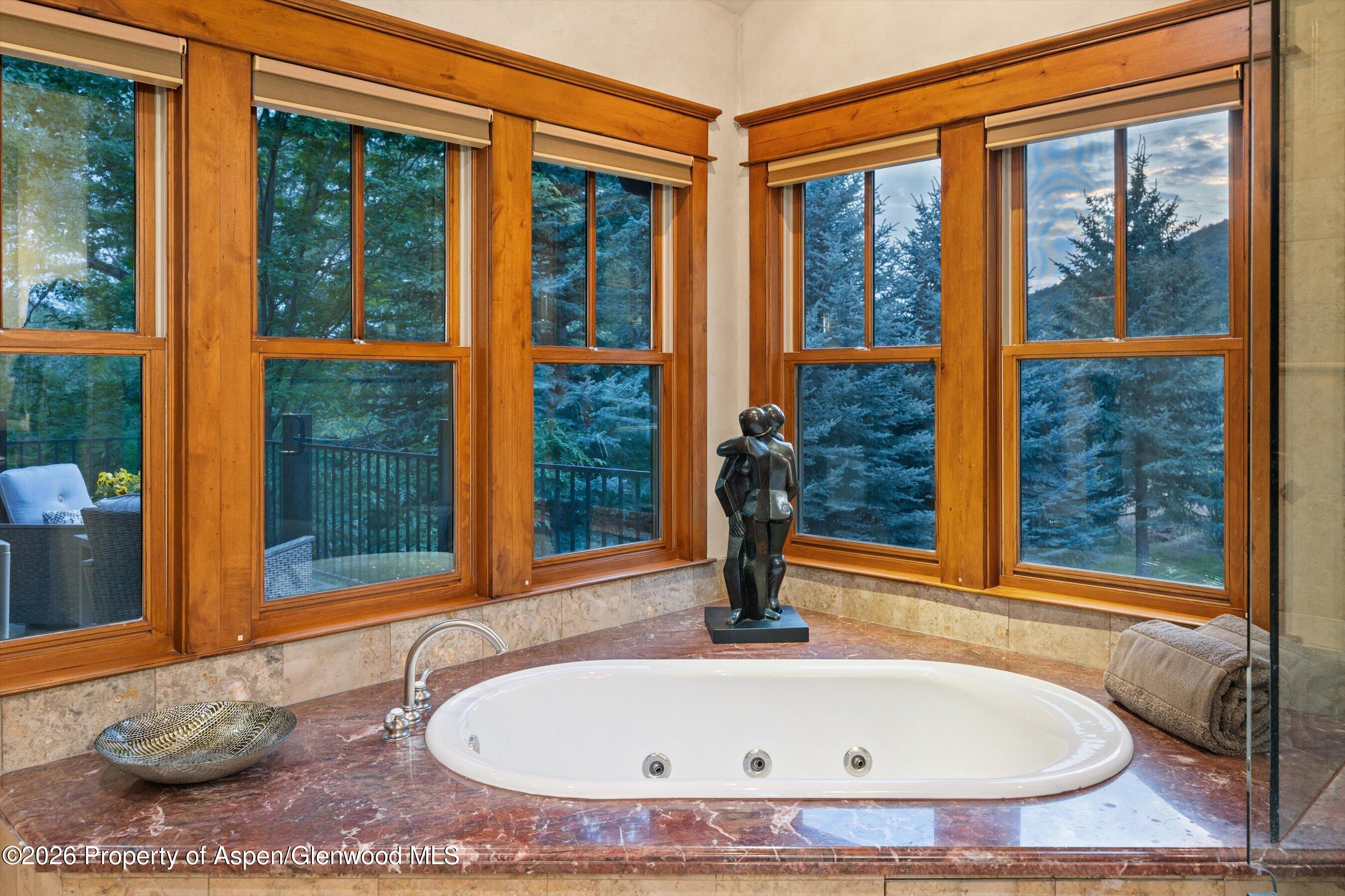 268 Larkspur Drive Carbondale CO 81623