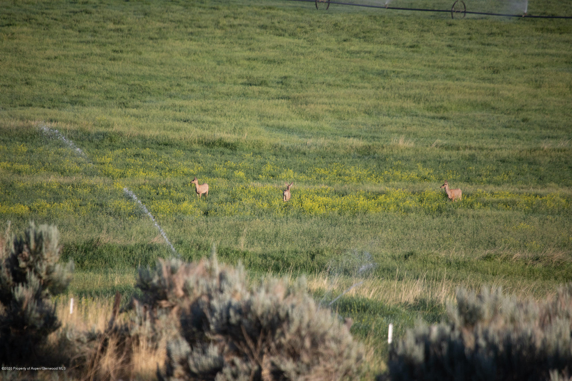 1989 County Road 320 Rifle CO 81650