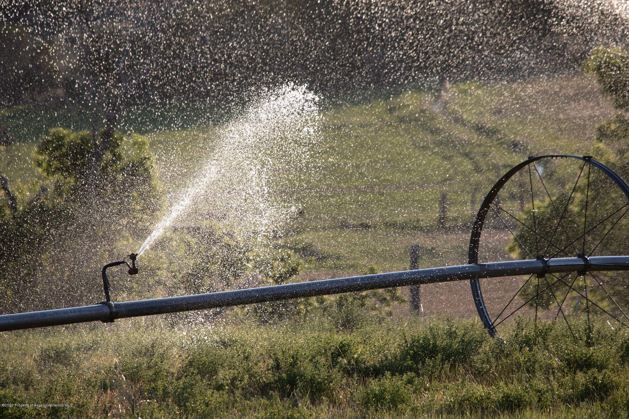 1989 County Road 320 Rifle CO 81650