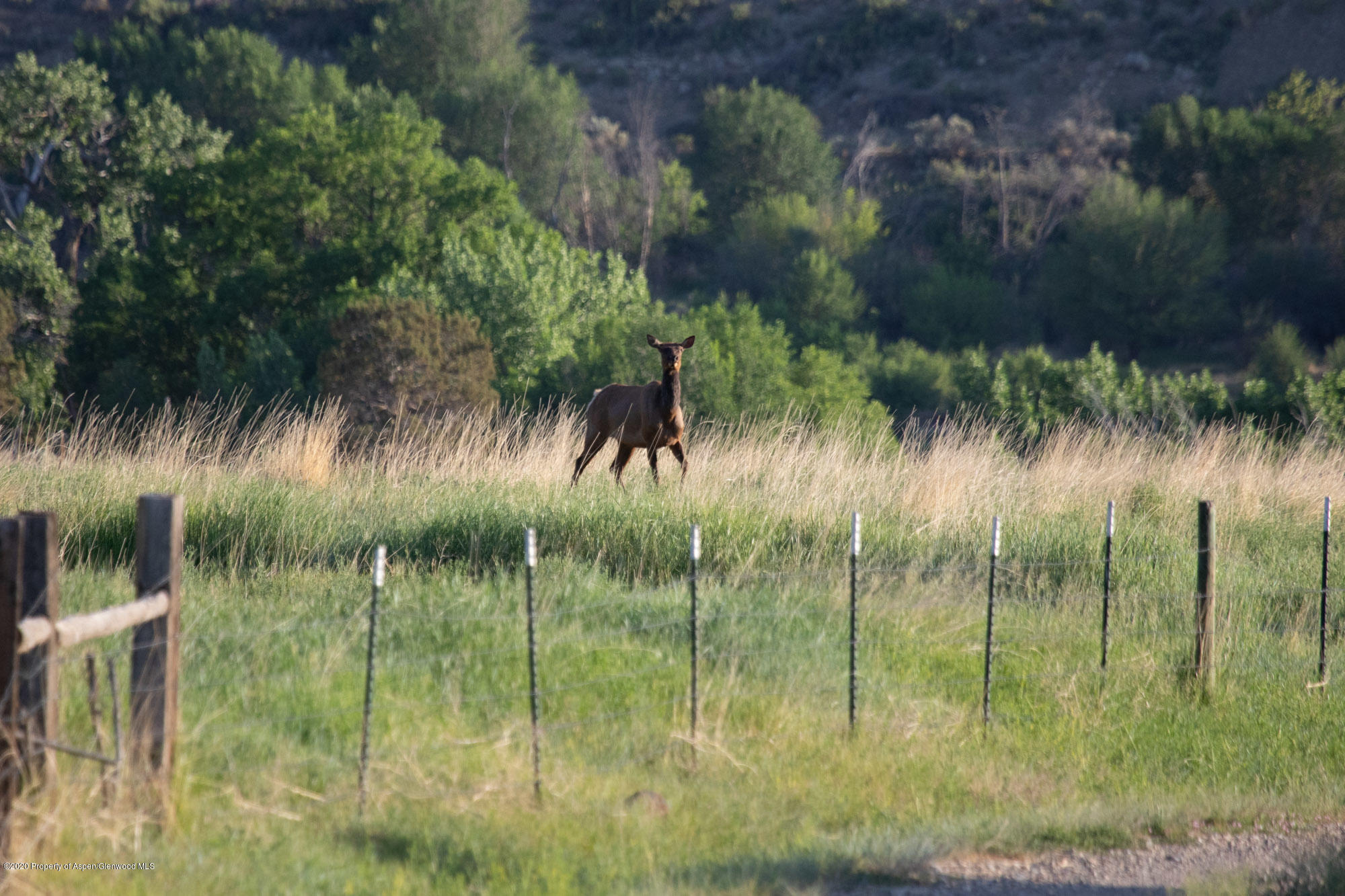 1989 County Road 320 Rifle CO 81650