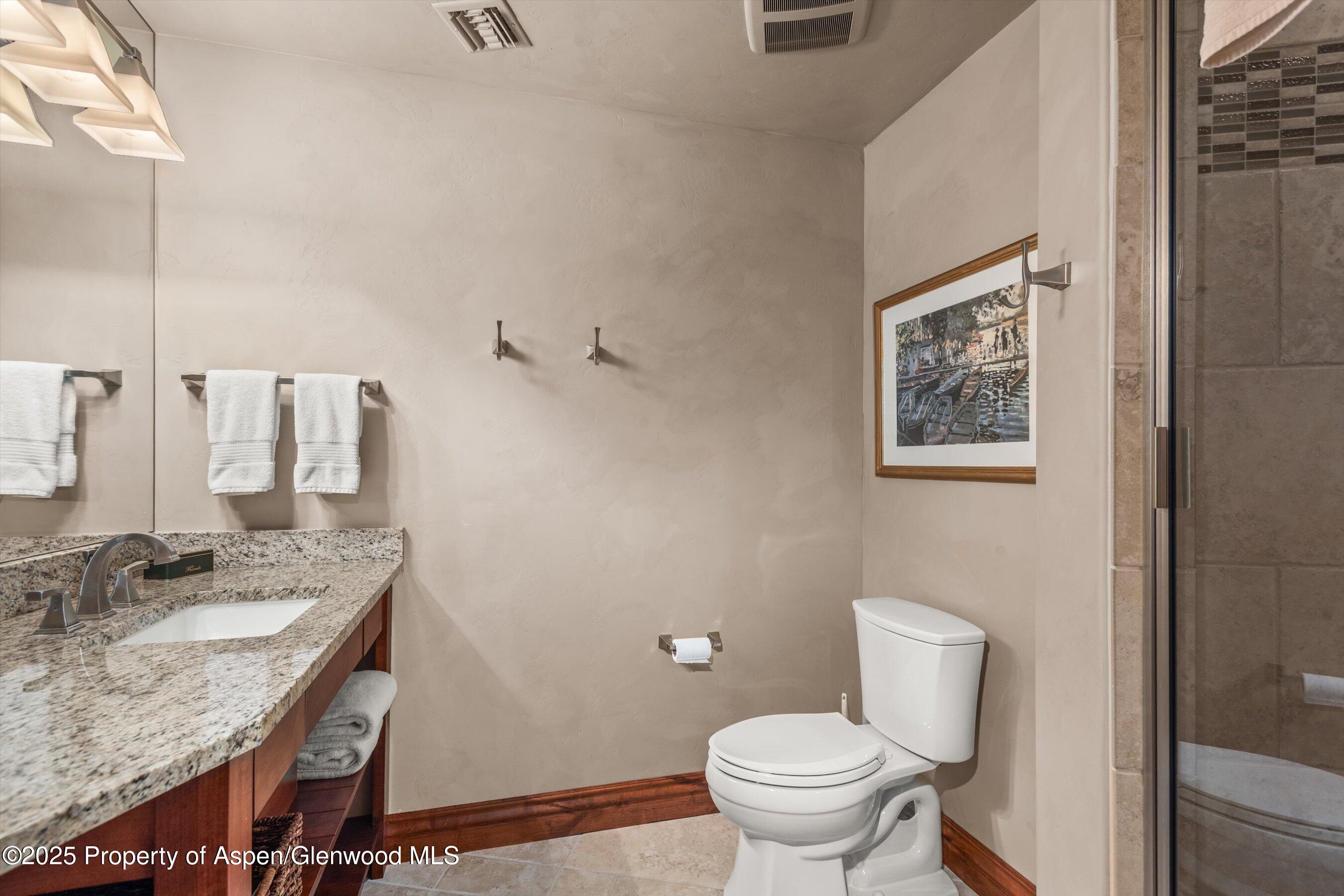 178 W Diamond A Ranch Road Carbondale CO 81623
