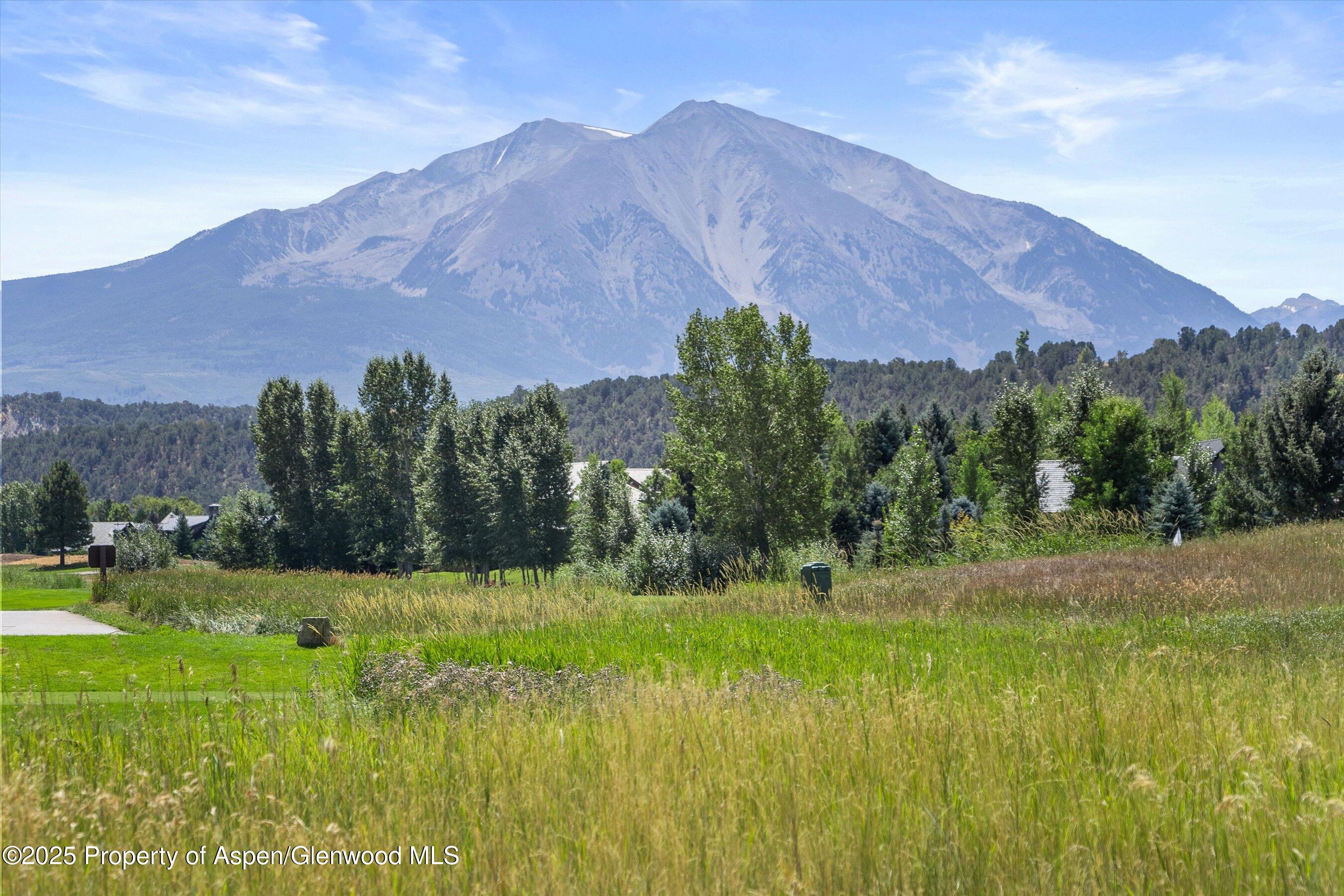 178 W Diamond A Ranch Road Carbondale CO 81623