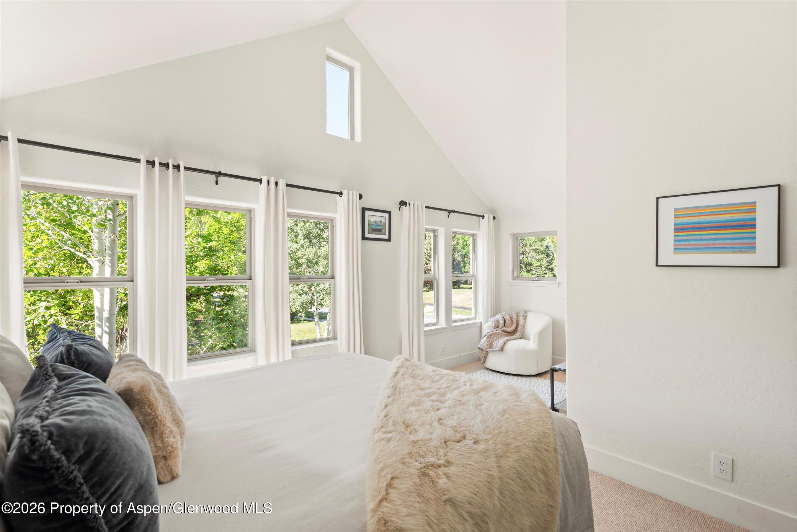 405 Meadow Court Basalt CO 81621
