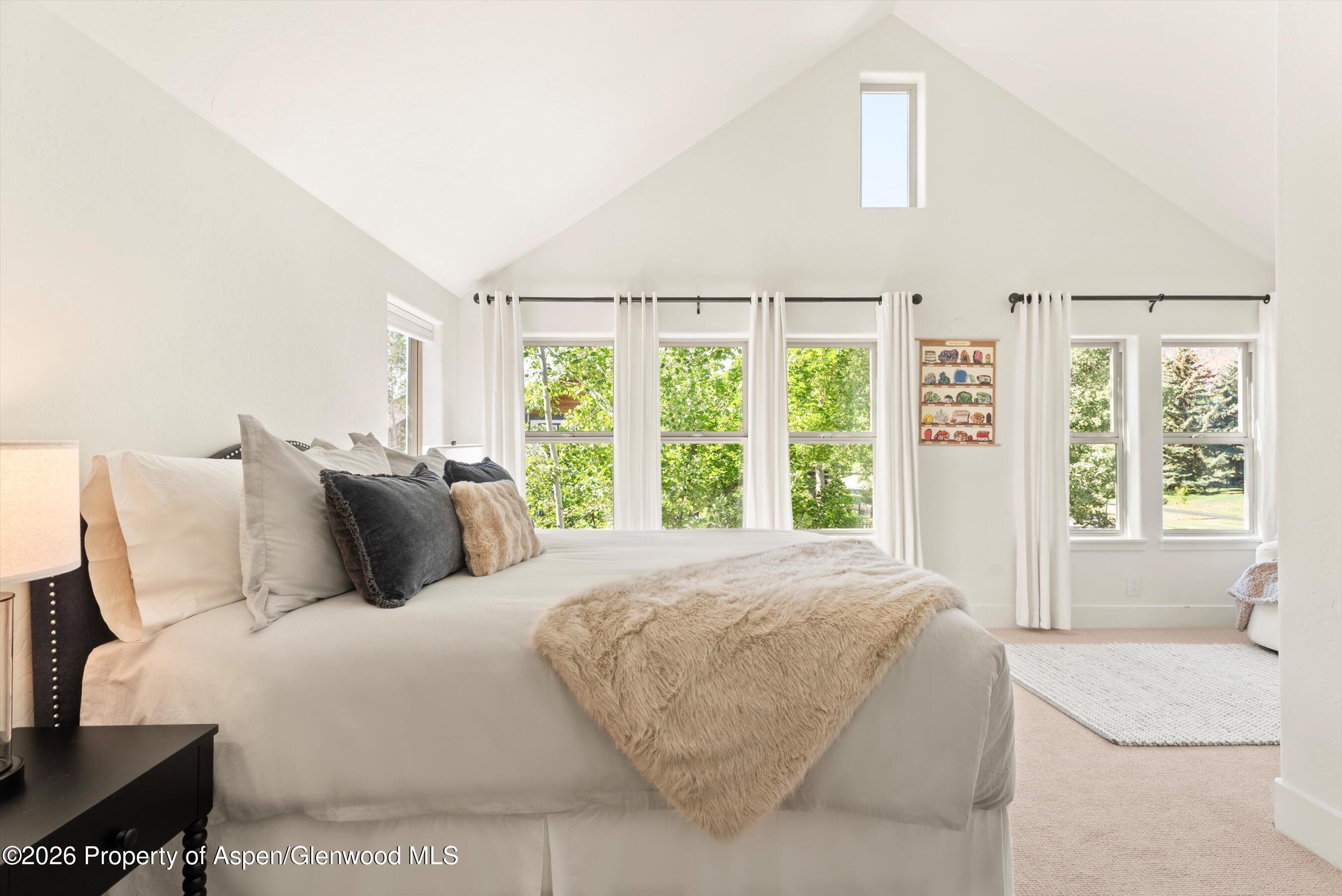 405 Meadow Court Basalt CO 81621