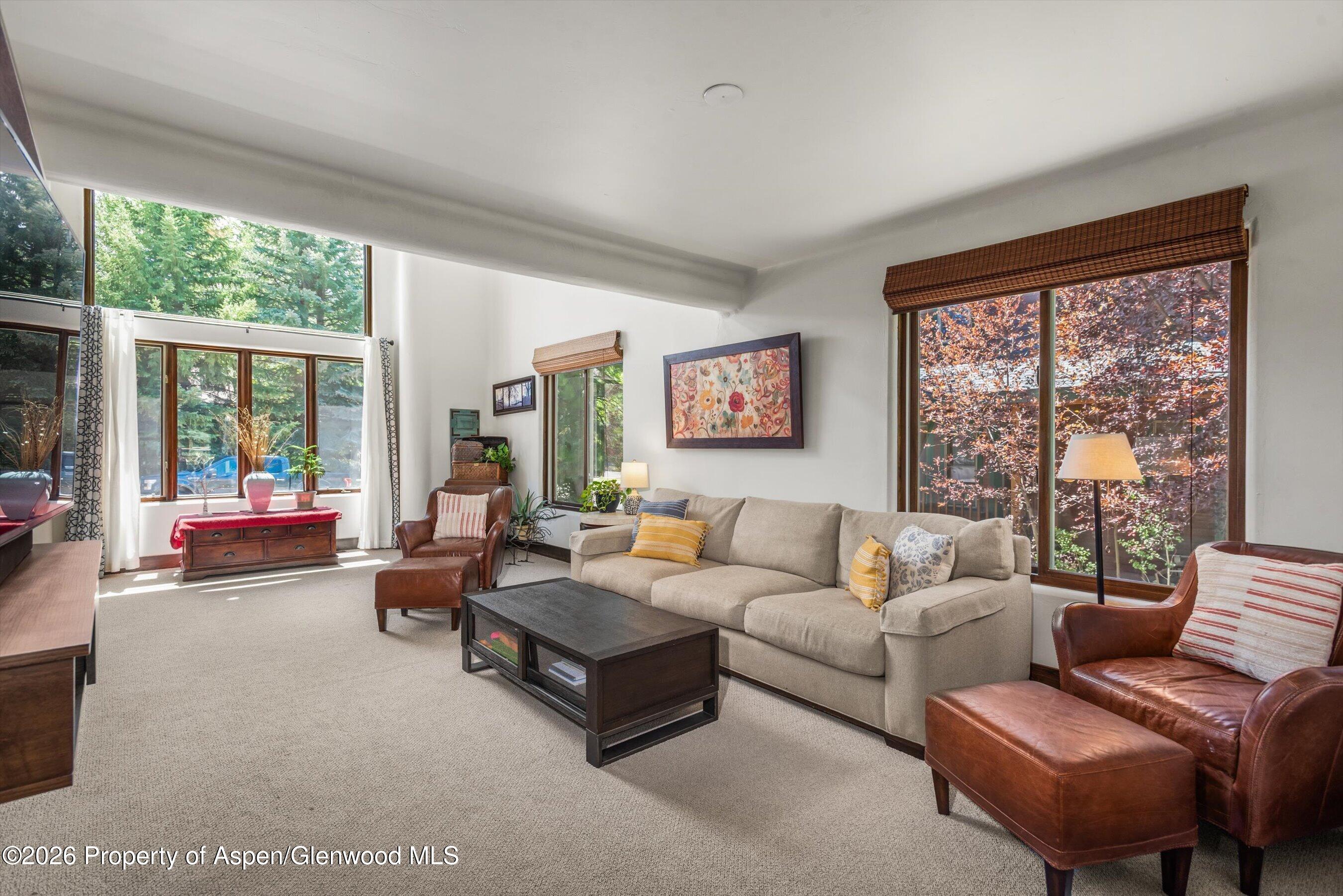 750 Hearthstone Drive Basalt CO 81621