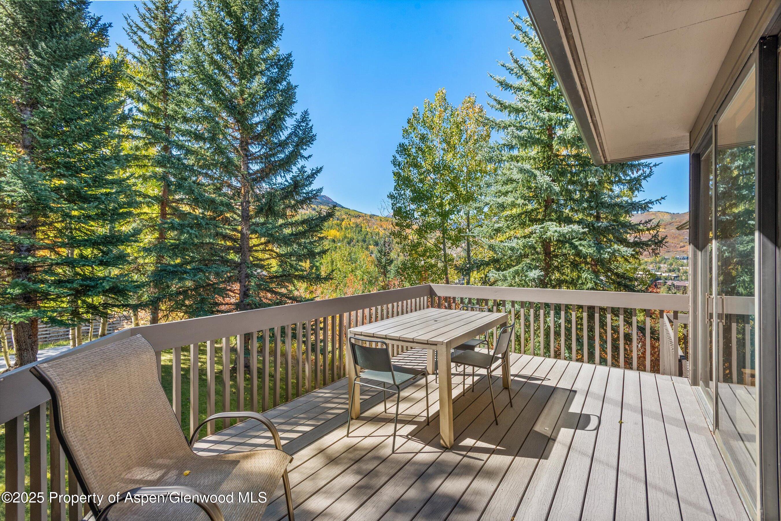 259 Deer Ridge Lane Snowmass Village CO 81615