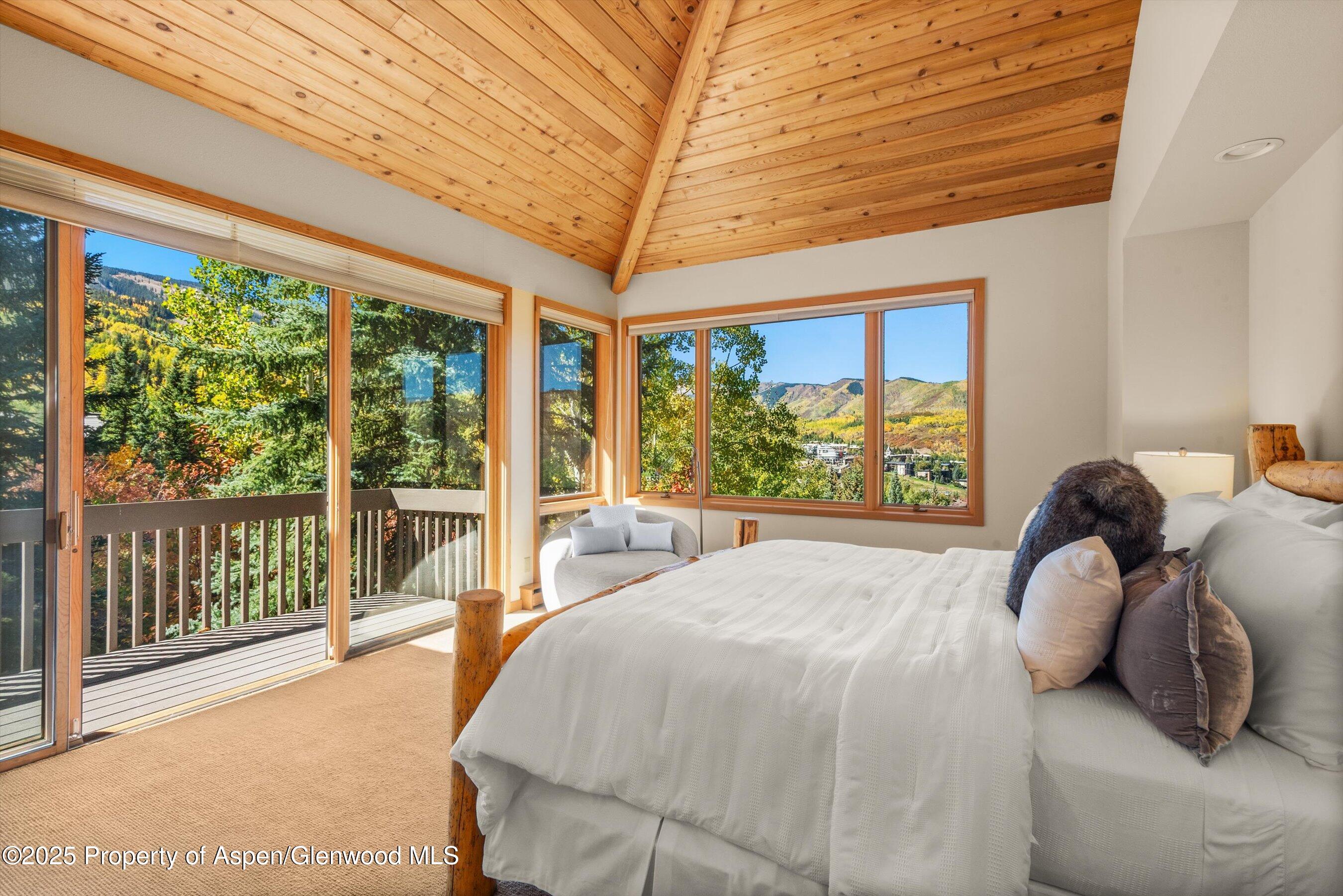 259 Deer Ridge Lane Snowmass Village CO 81615