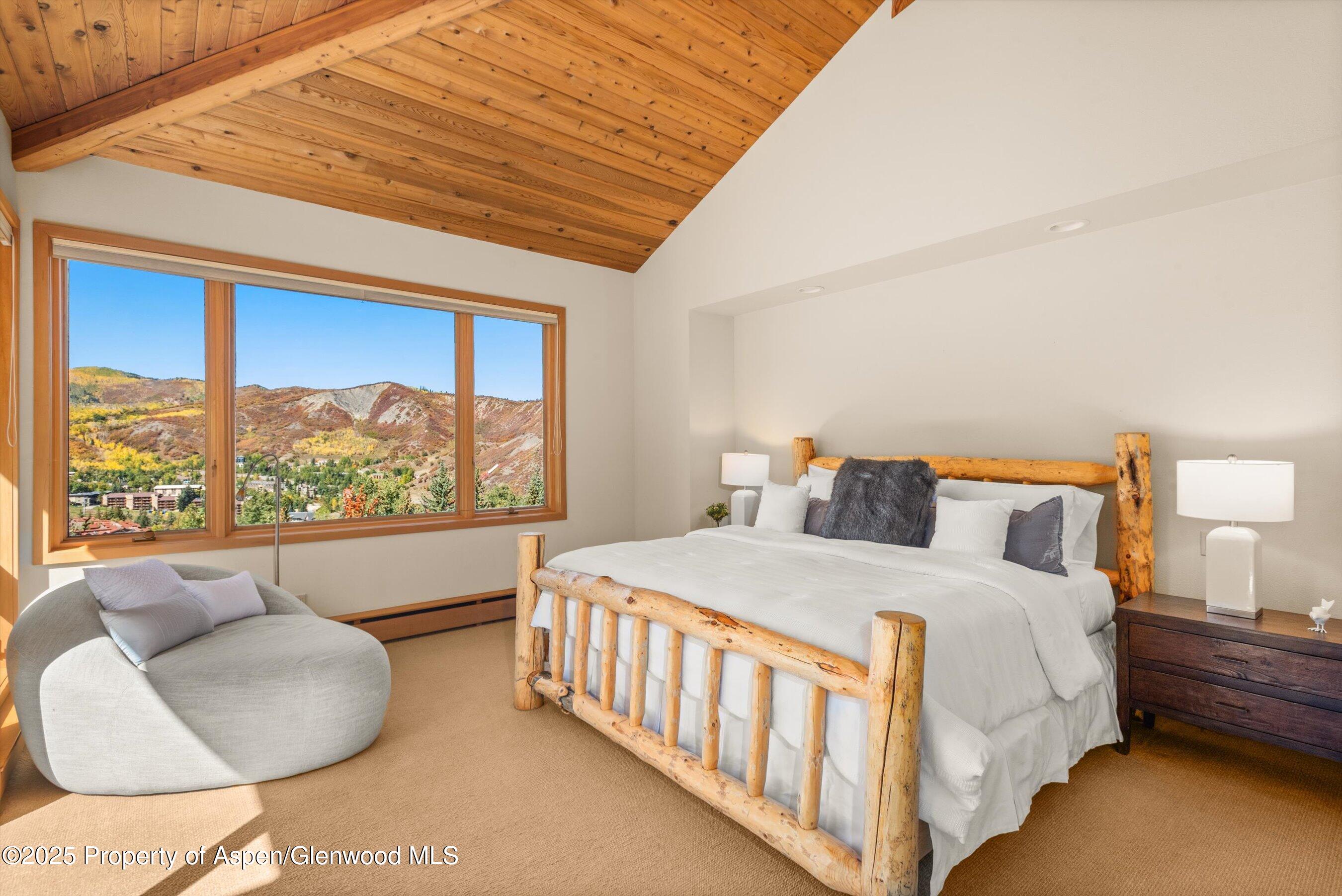 259 Deer Ridge Lane Snowmass Village CO 81615