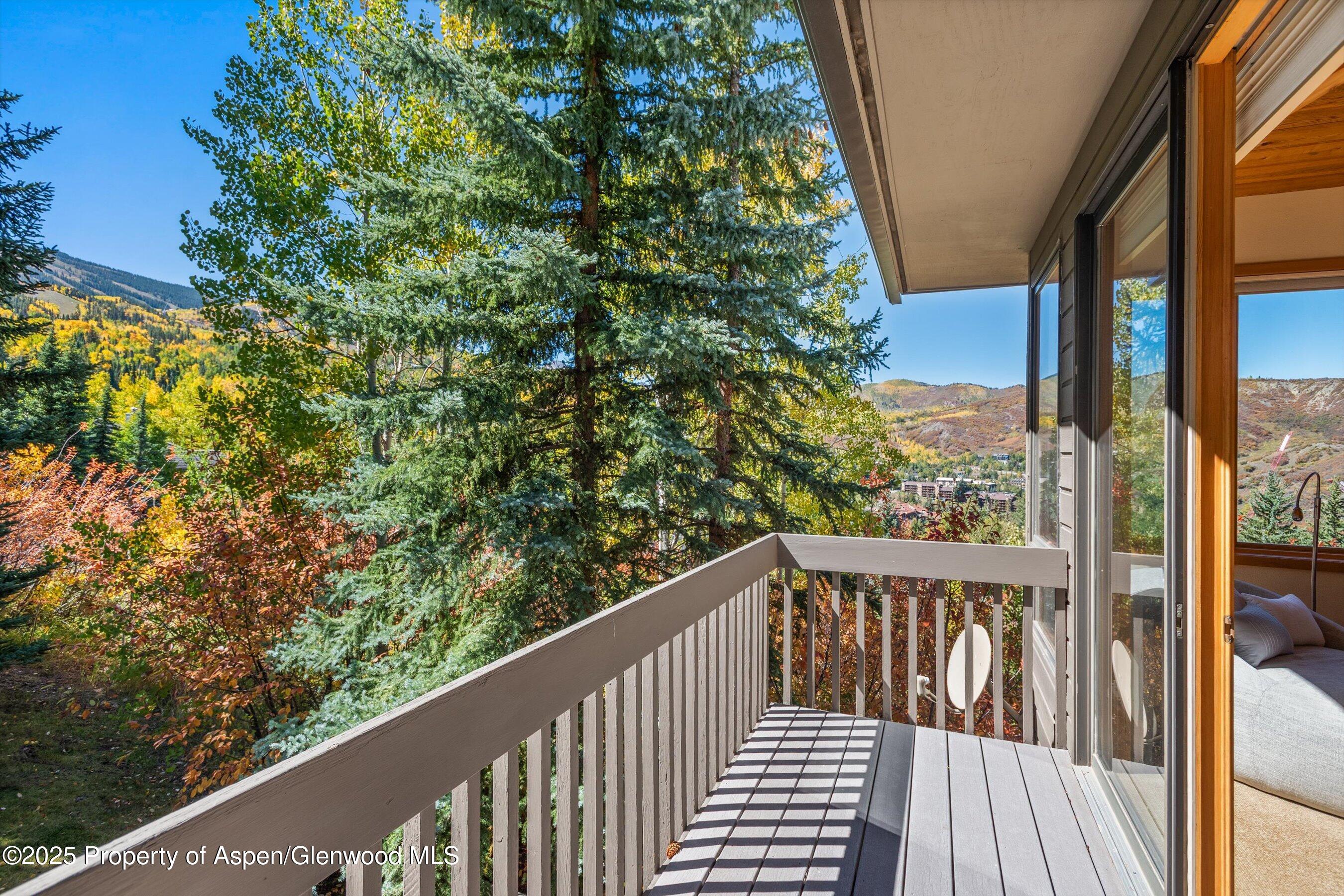 259 Deer Ridge Lane Snowmass Village CO 81615