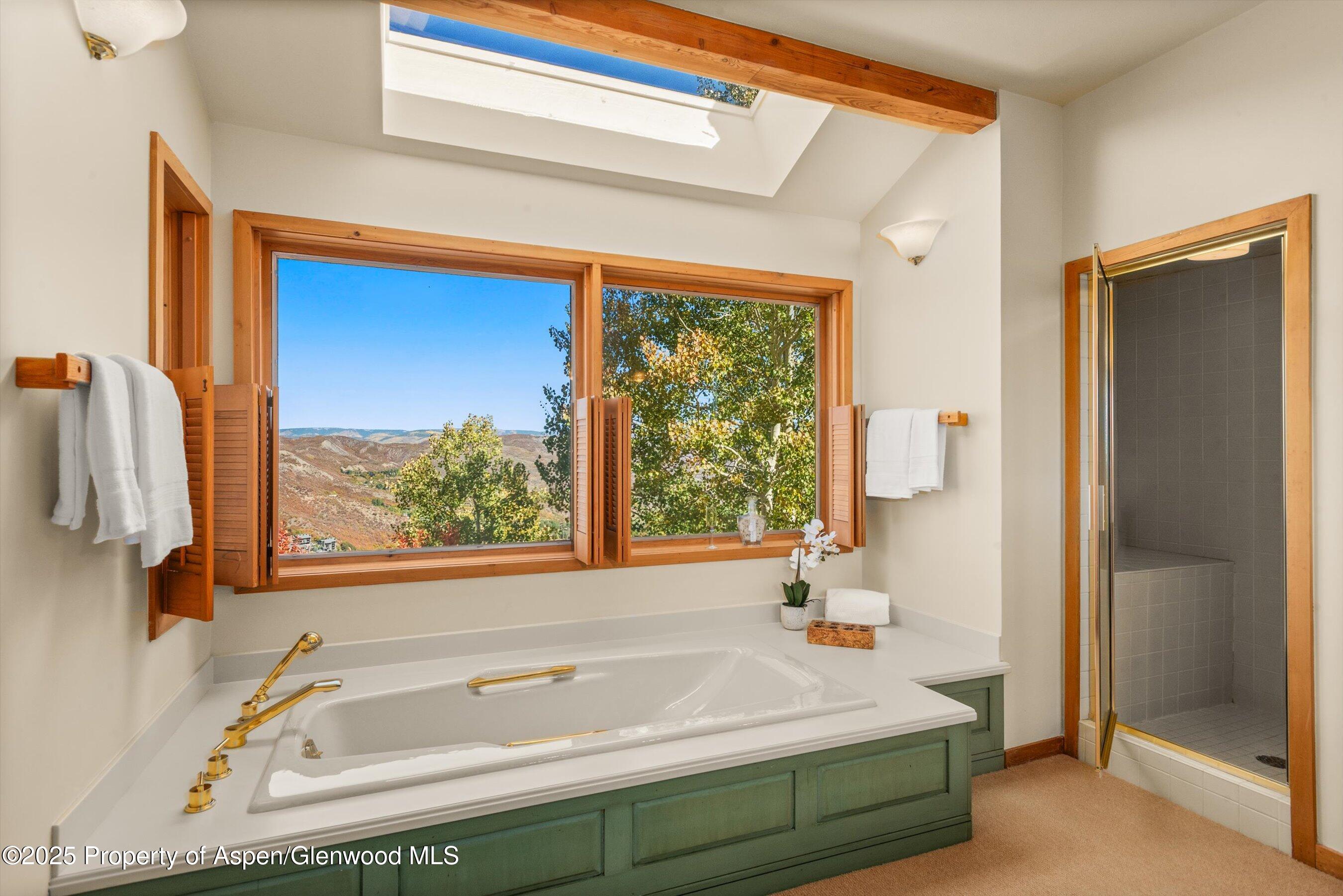 259 Deer Ridge Lane Snowmass Village CO 81615