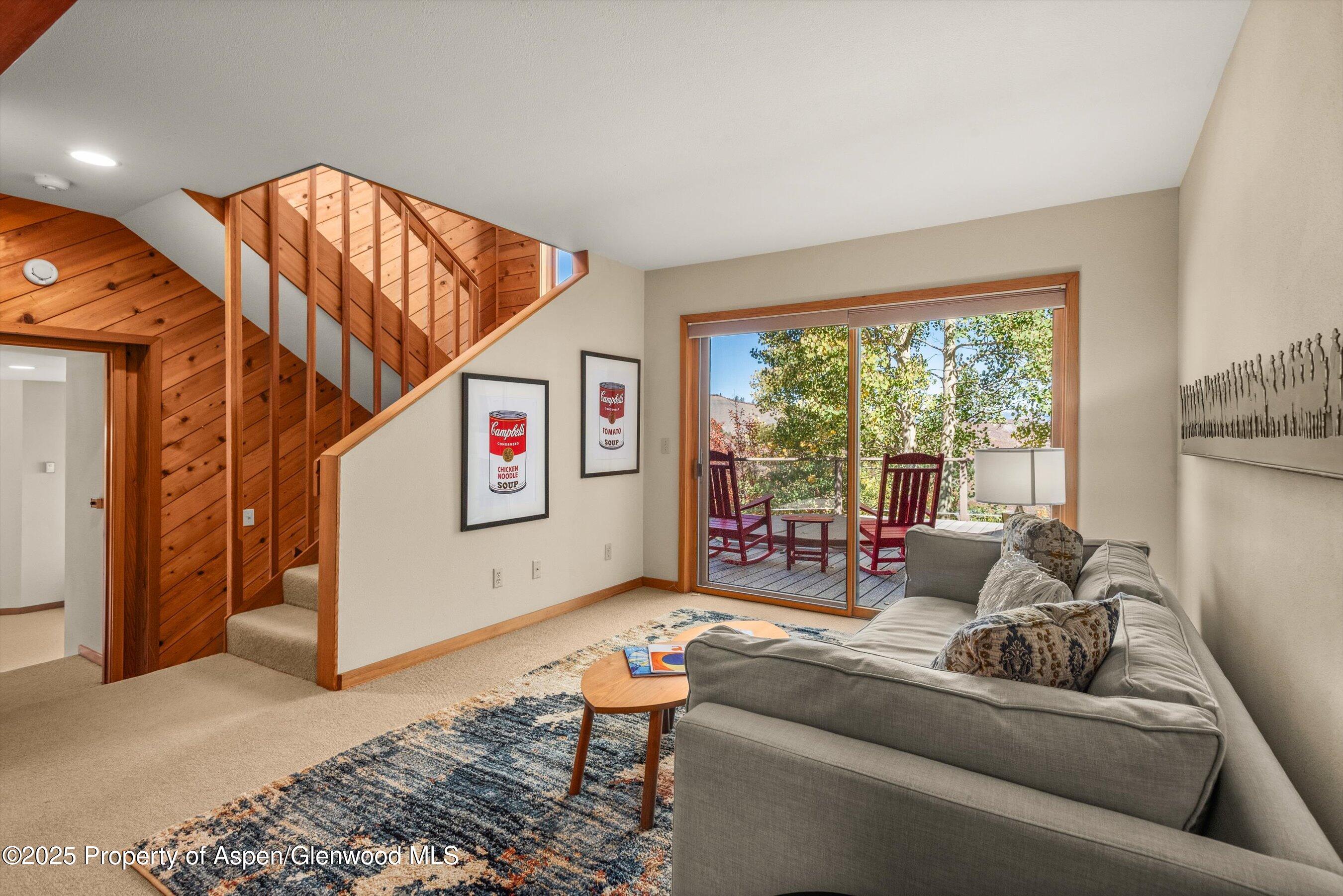 259 Deer Ridge Lane Snowmass Village CO 81615