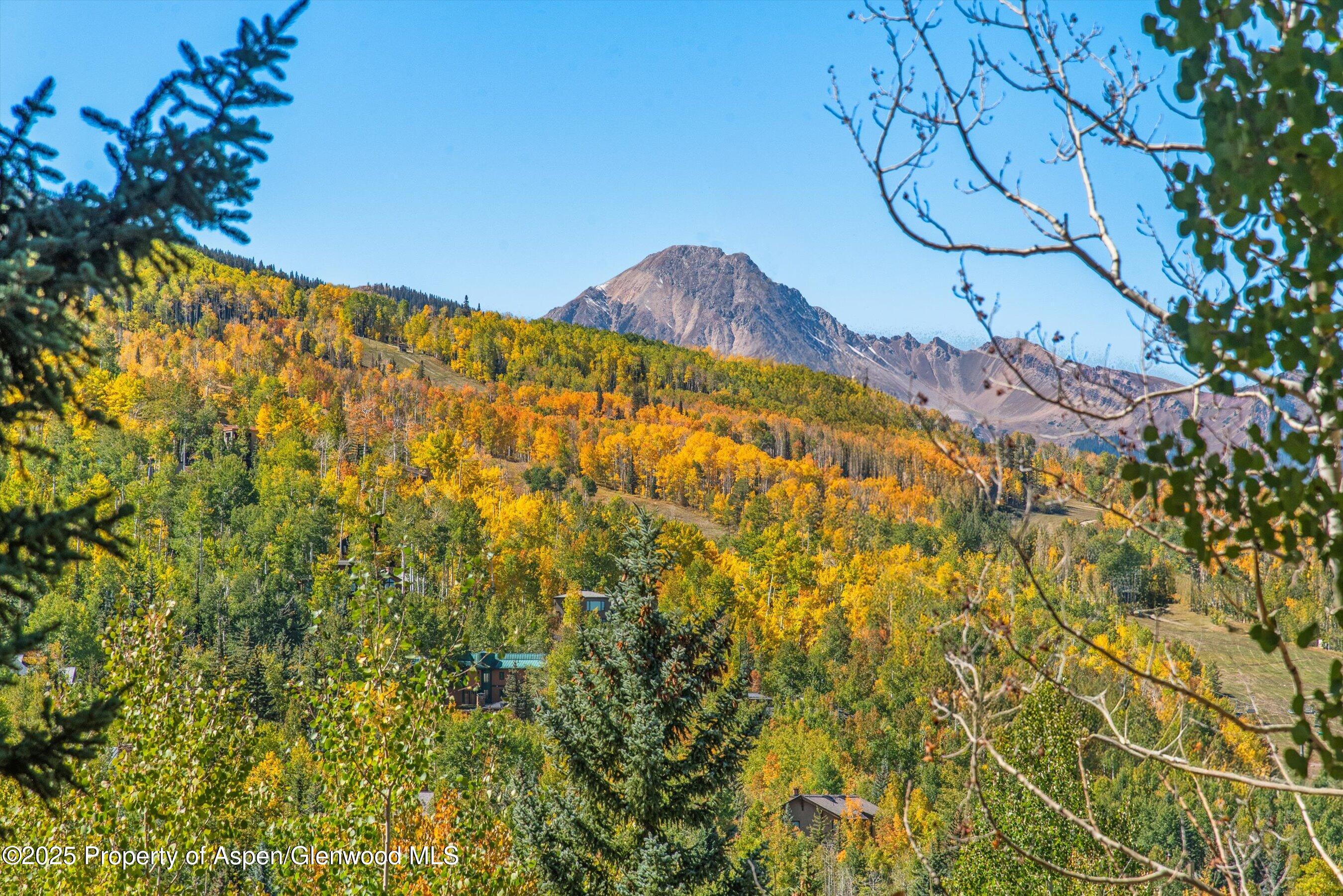 259 Deer Ridge Lane Snowmass Village CO 81615