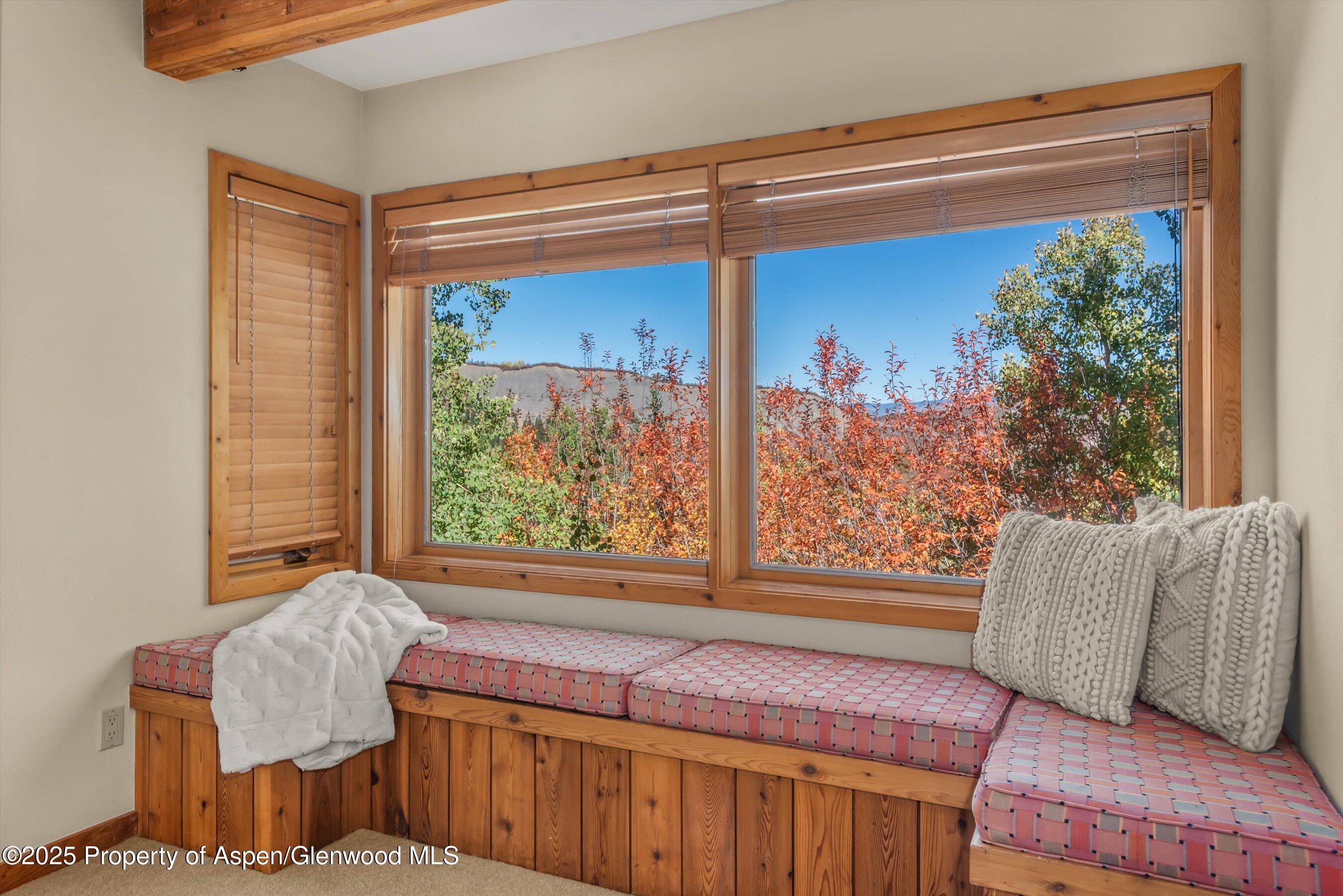 259 Deer Ridge Lane Snowmass Village CO 81615