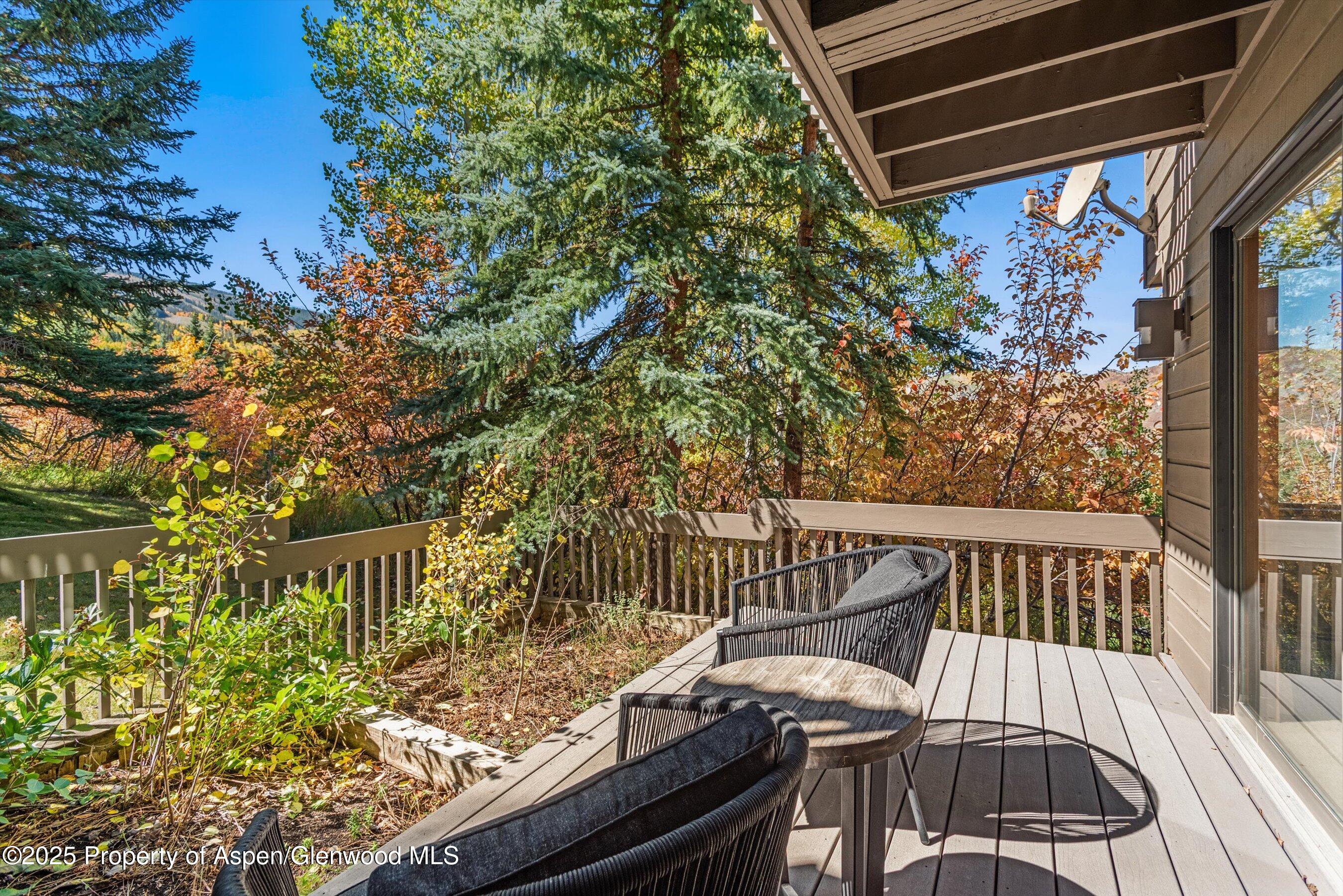 259 Deer Ridge Lane Snowmass Village CO 81615