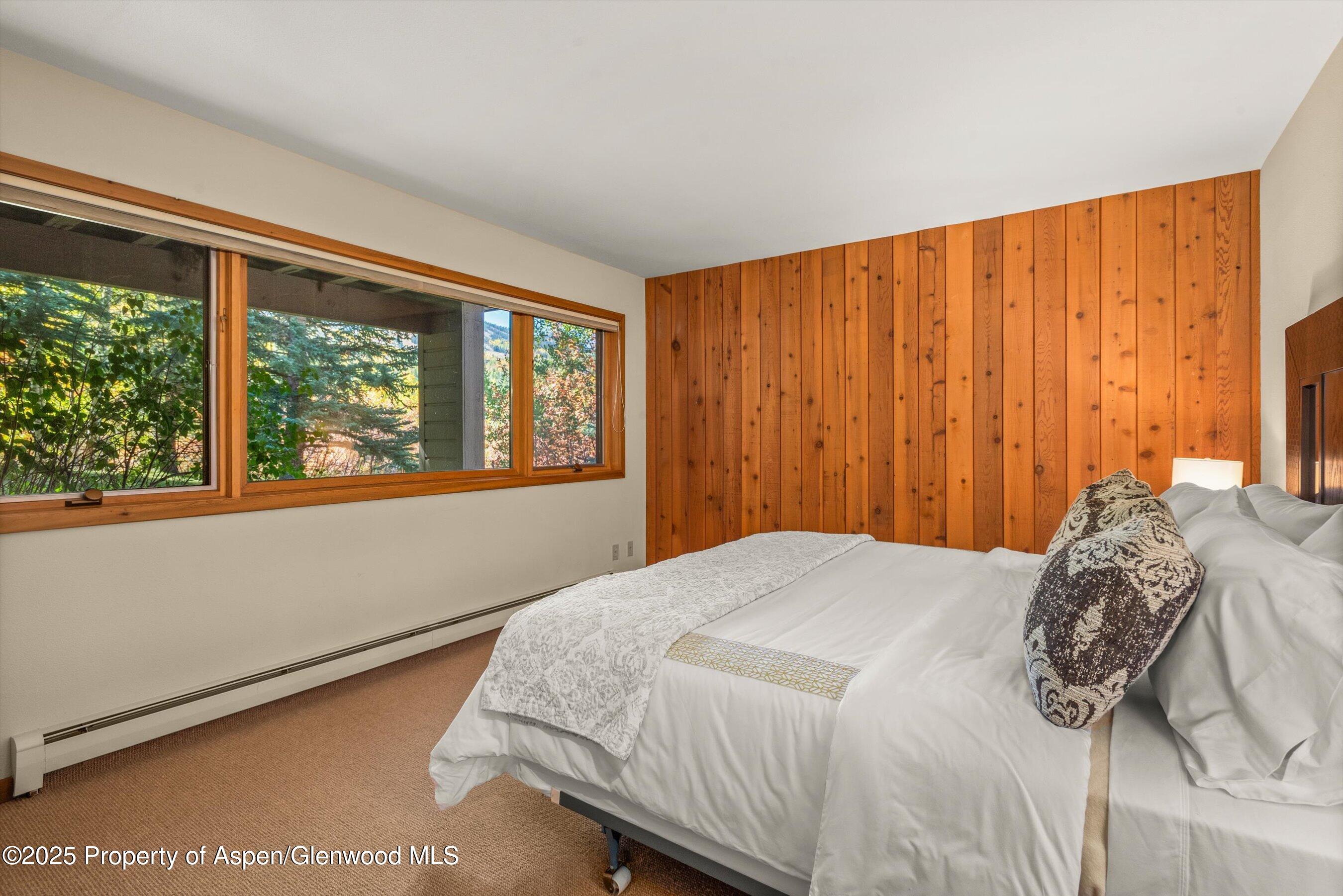 259 Deer Ridge Lane Snowmass Village CO 81615