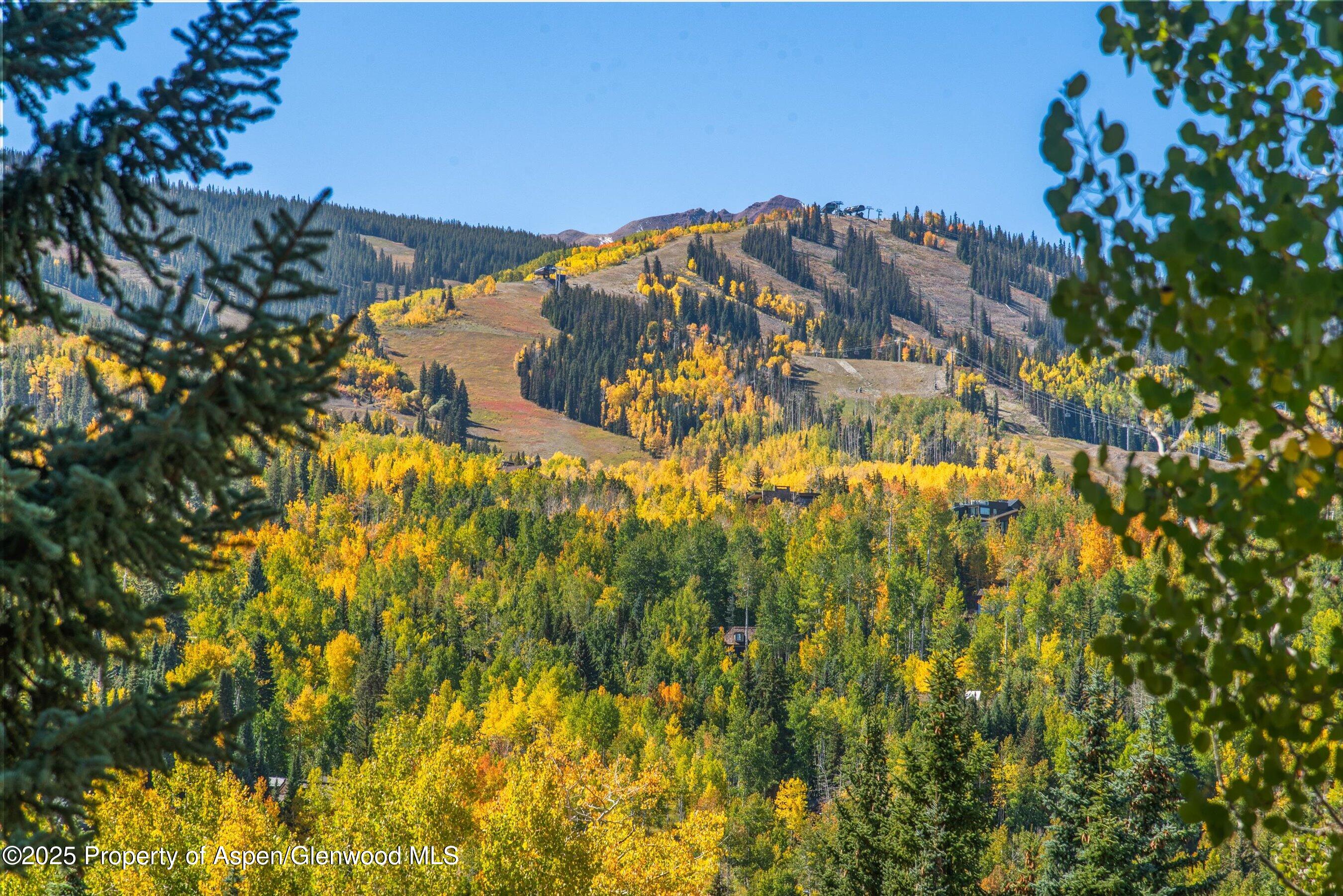259 Deer Ridge Lane Snowmass Village CO 81615