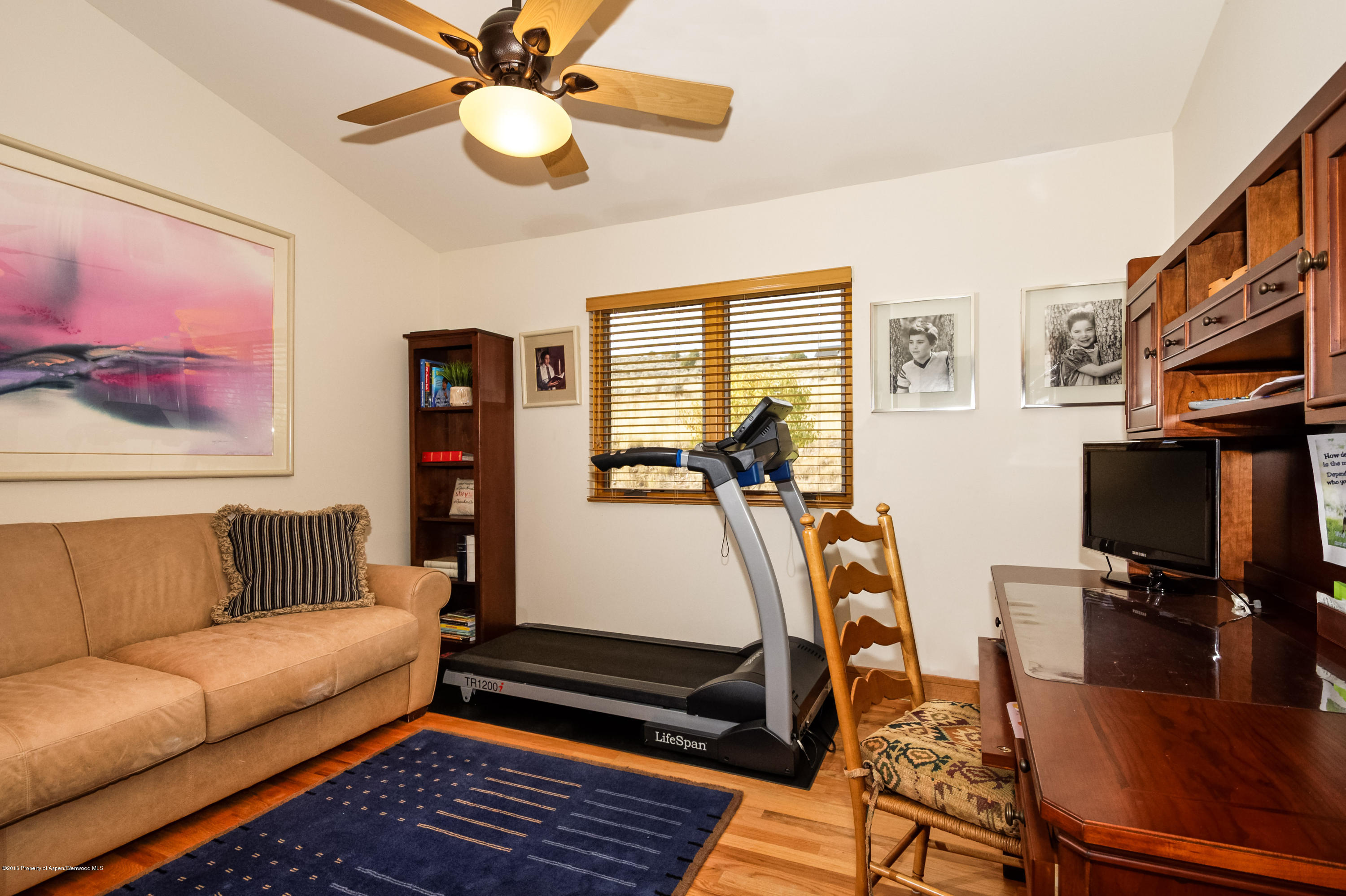 160 Milburn Court Carbondale CO 81623