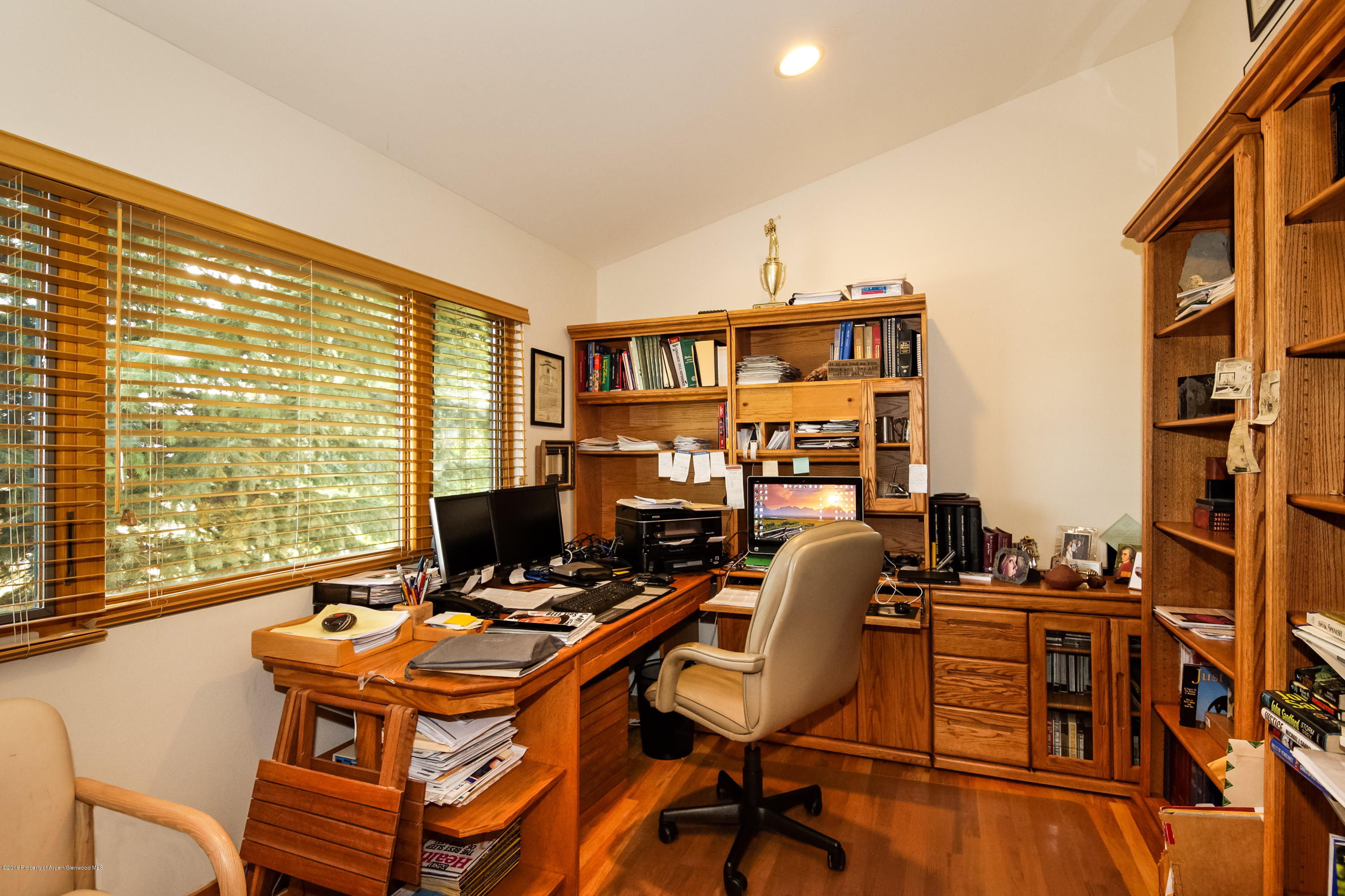 160 Milburn Court Carbondale CO 81623