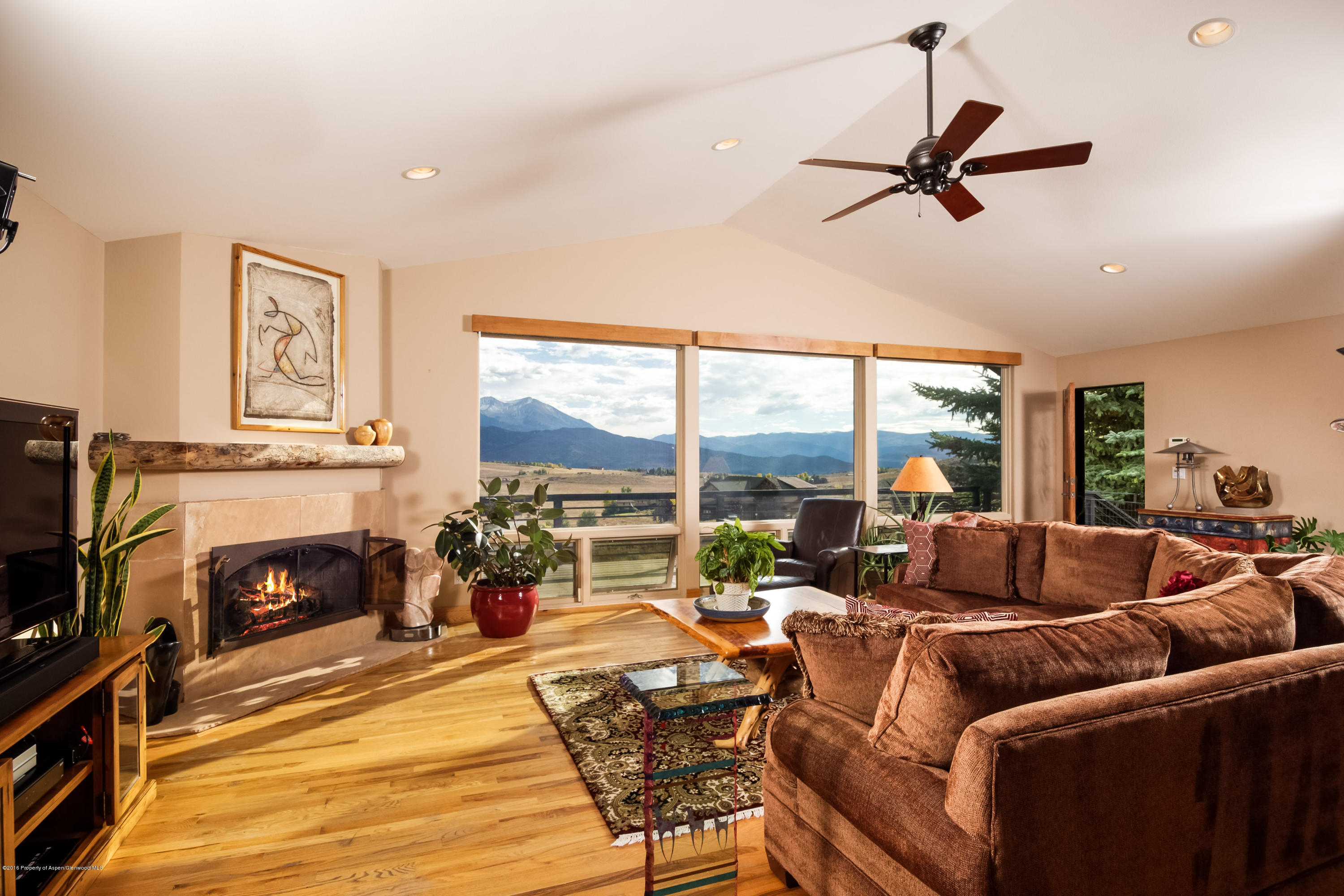 160 Milburn Court Carbondale CO 81623