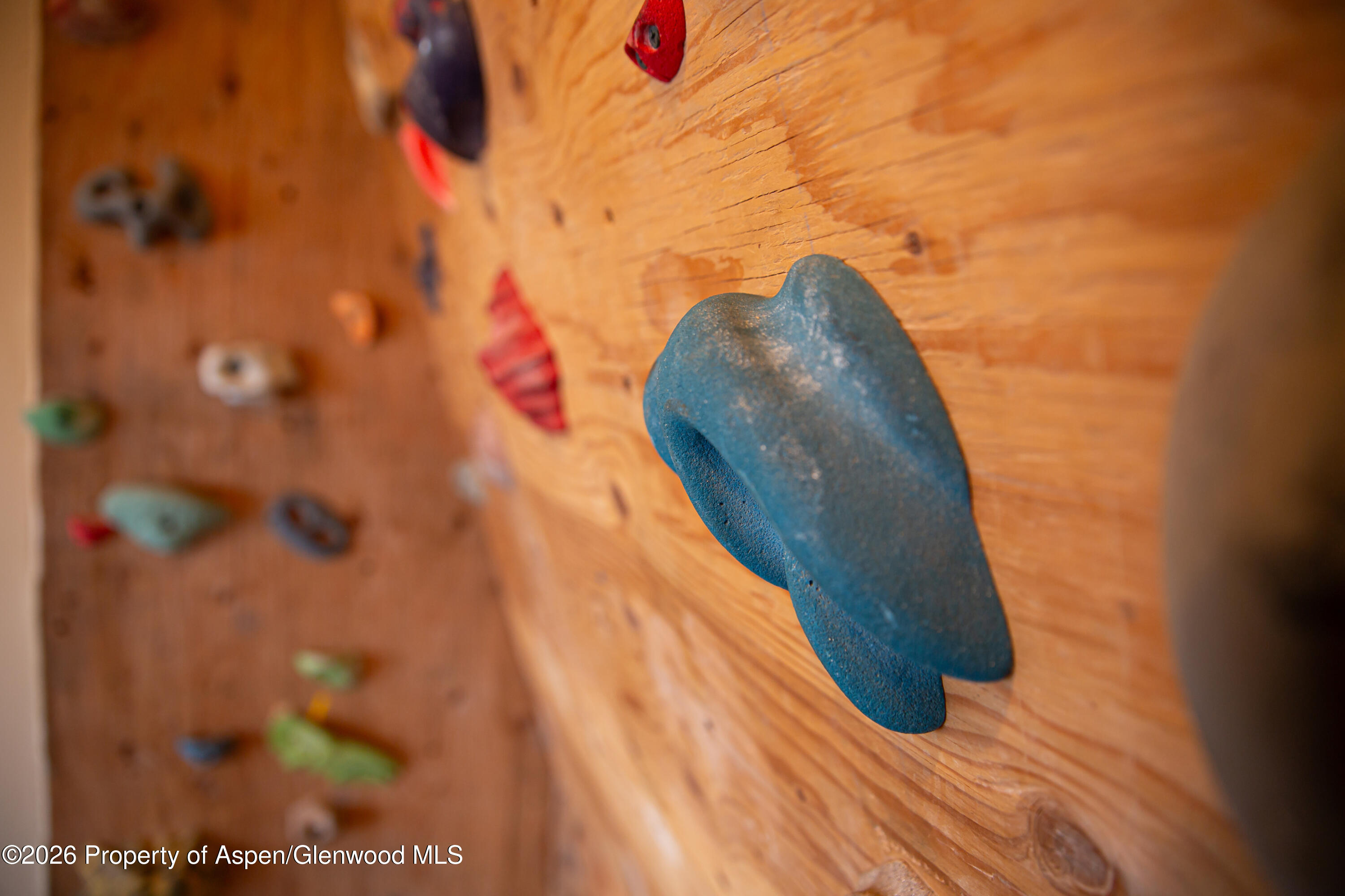 328 Los Adobes Drive Carbondale CO 81623