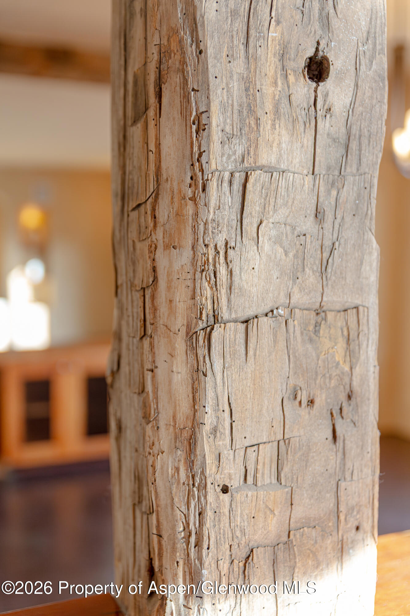 328 Los Adobes Drive Carbondale CO 81623