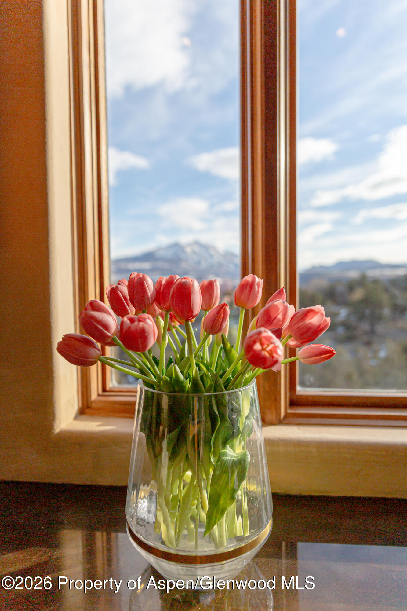 328 Los Adobes Drive Carbondale CO 81623