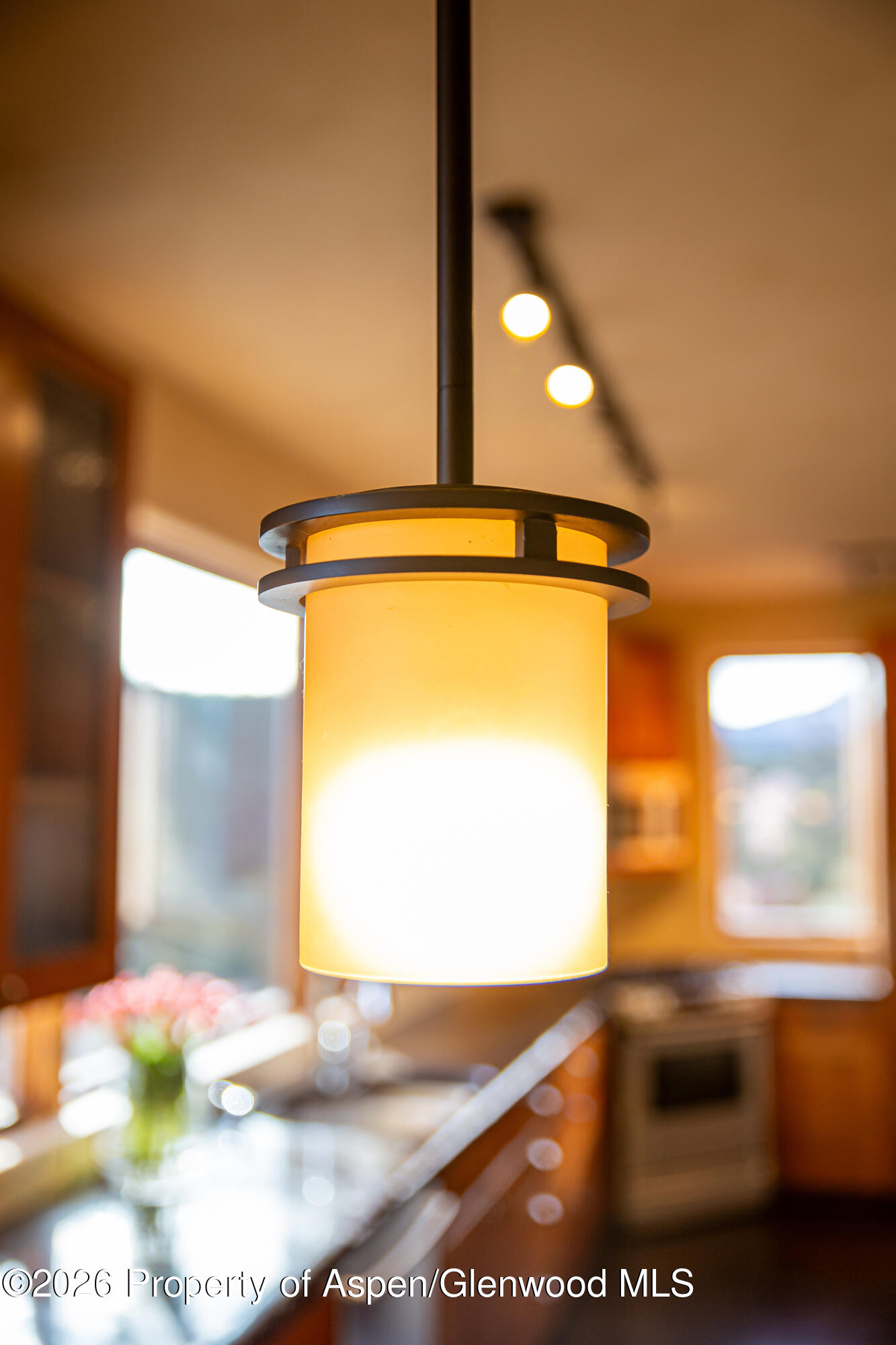 328 Los Adobes Drive Carbondale CO 81623