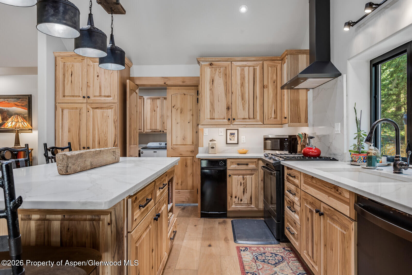 140 Elk Lane Redstone CO 81623