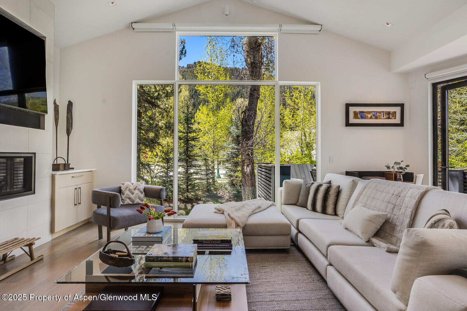 Aspen CO, 100 Park Avenue