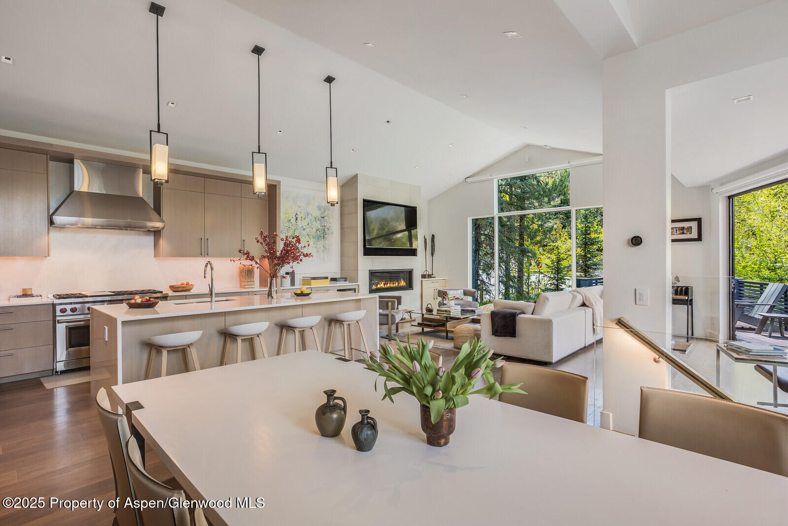 100 Park Avenue Aspen CO 81611