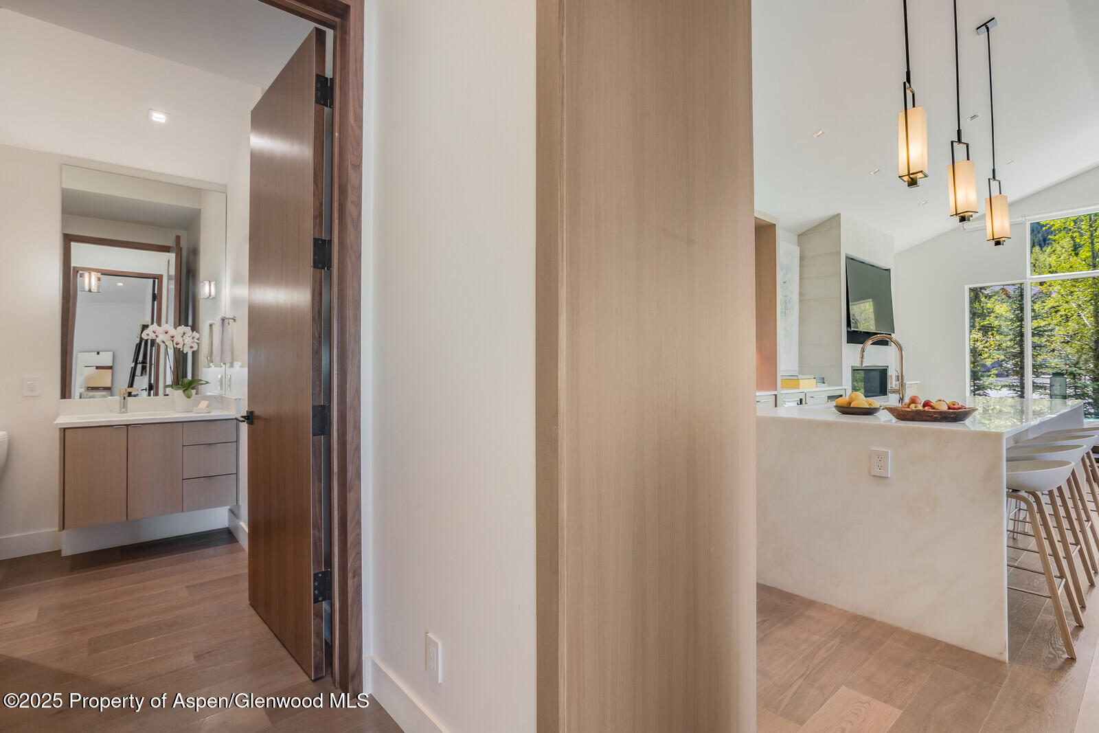 100 Park Avenue Aspen CO 81611