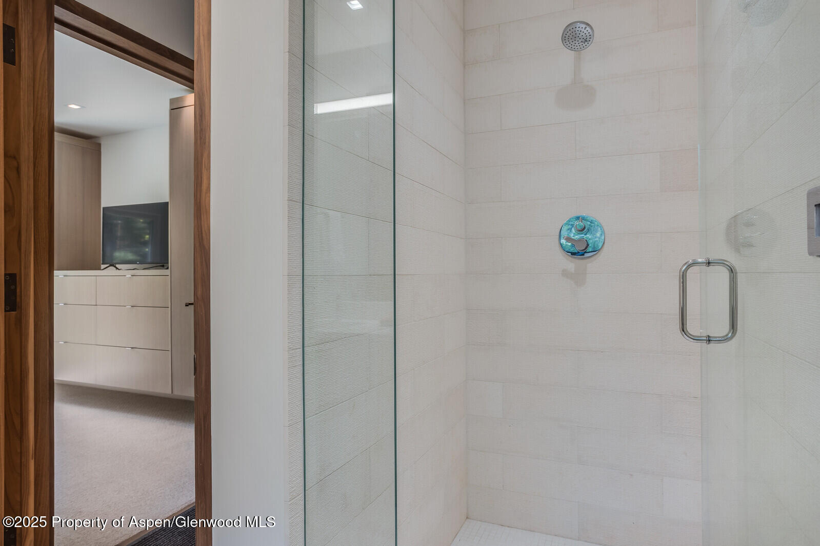 100 Park Avenue Aspen CO 81611