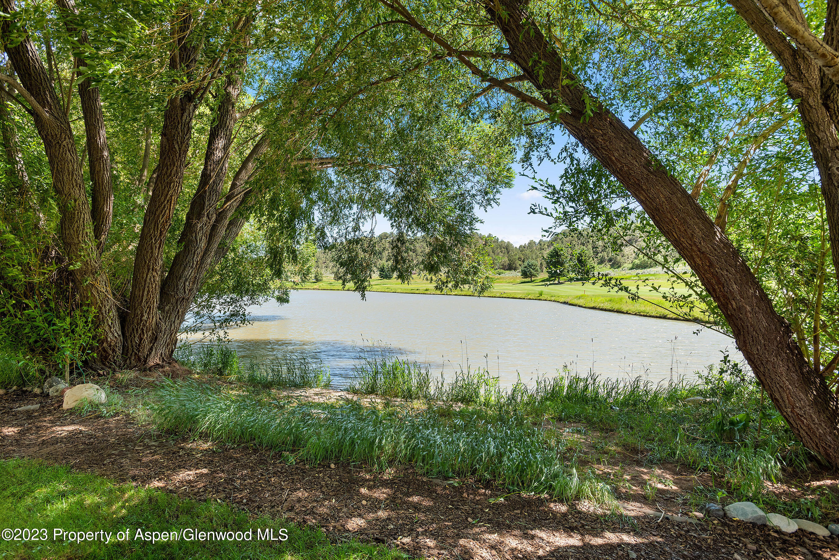 243 Golden Bear Carbondale CO 81623