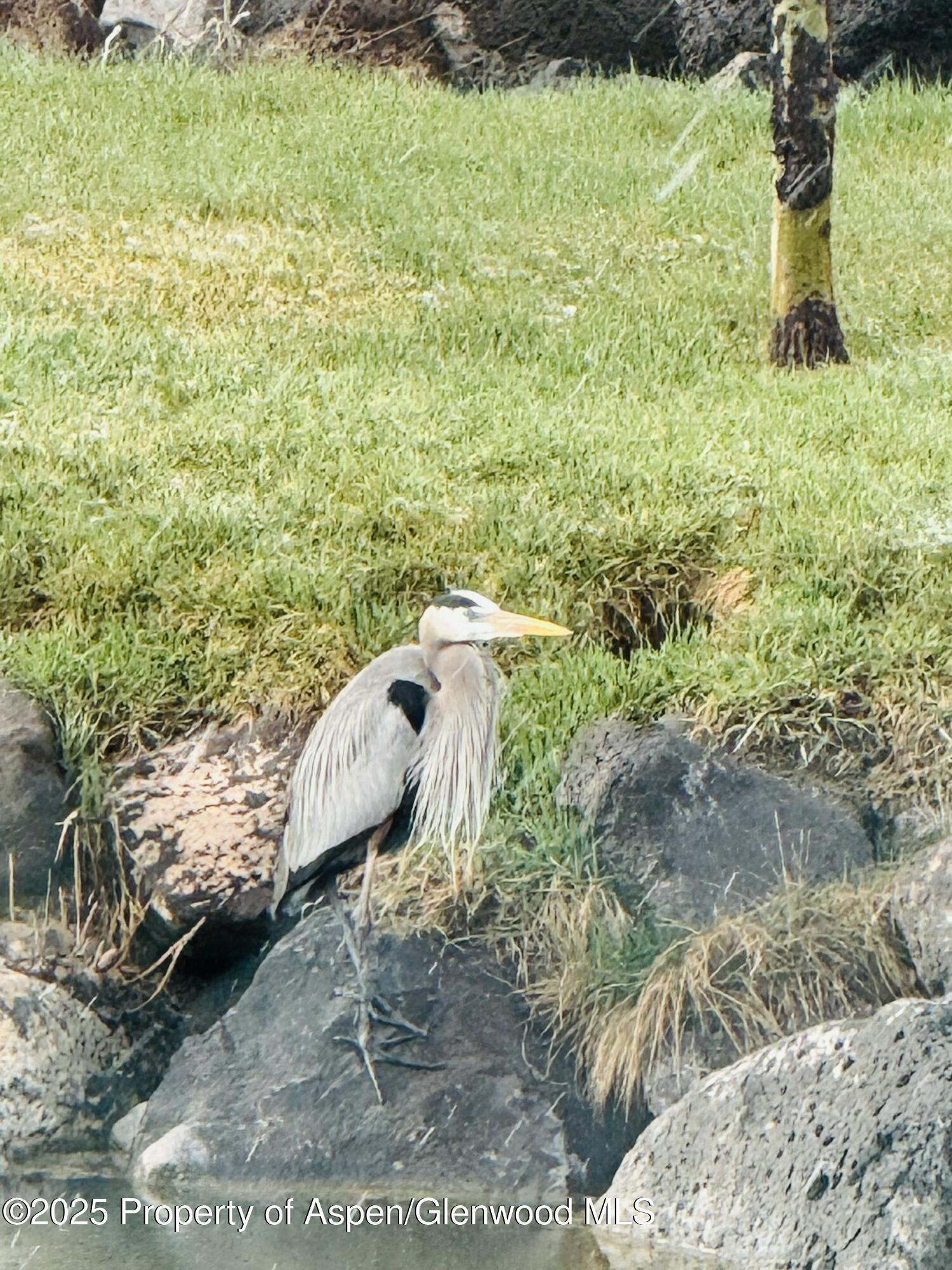 8700 Co Road 300 Parachute CO 81635