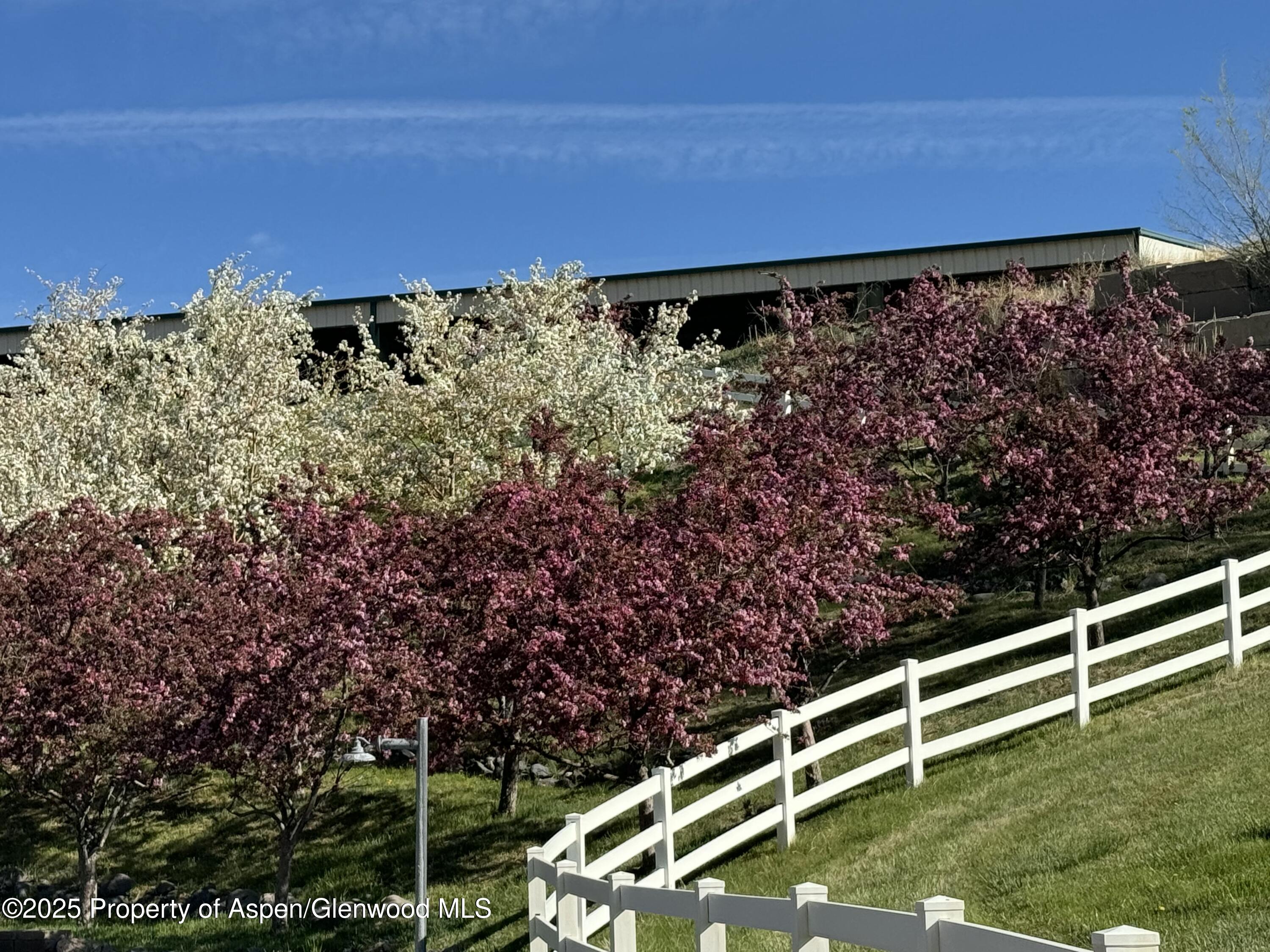 8700 Co Road 300 Parachute CO 81635