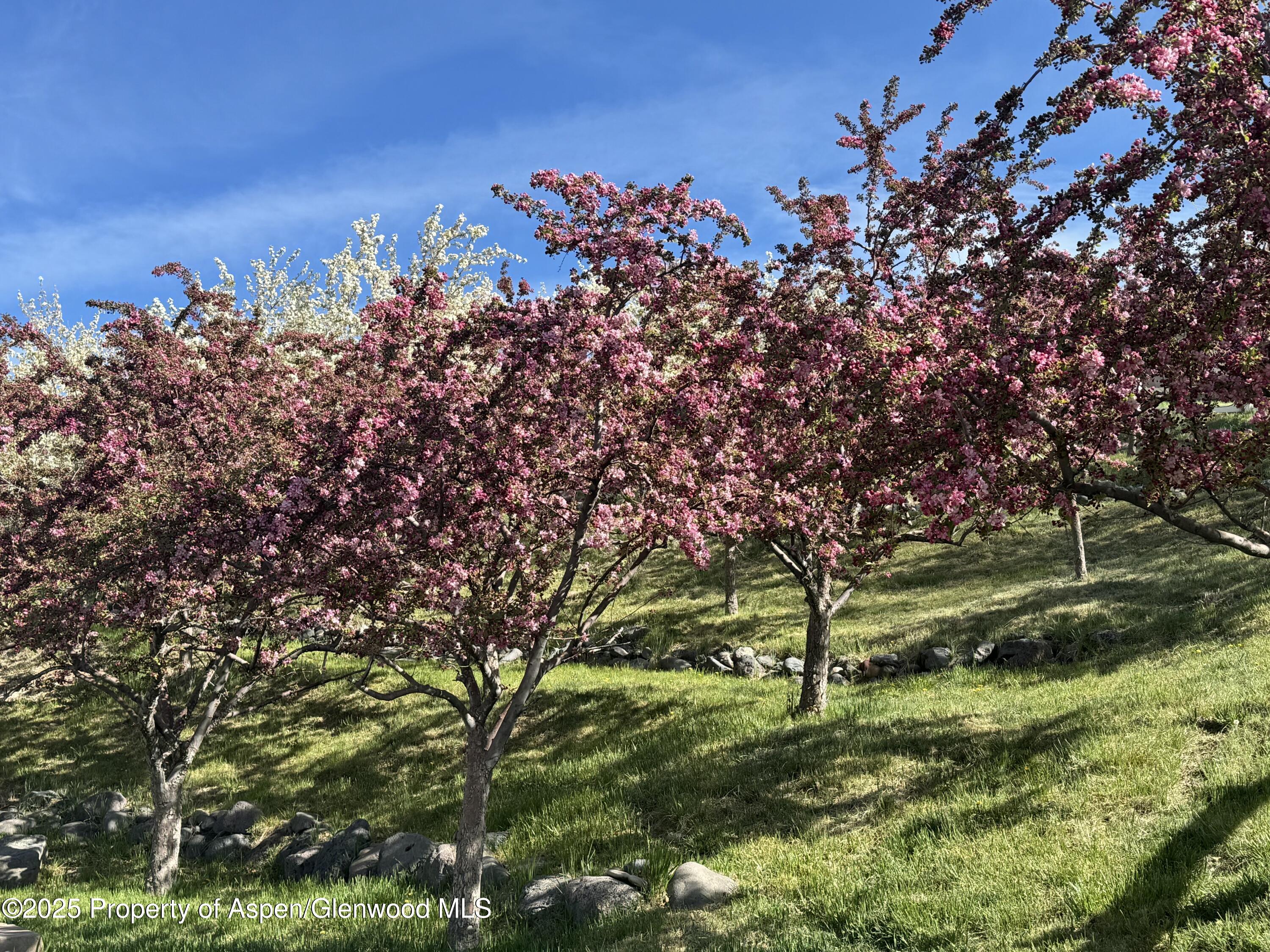 8700 Co Road 300 Parachute CO 81635