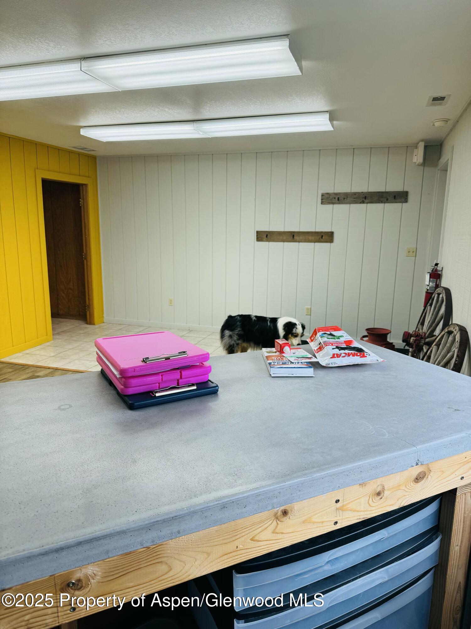 8700 Co Road 300 Parachute CO 81635