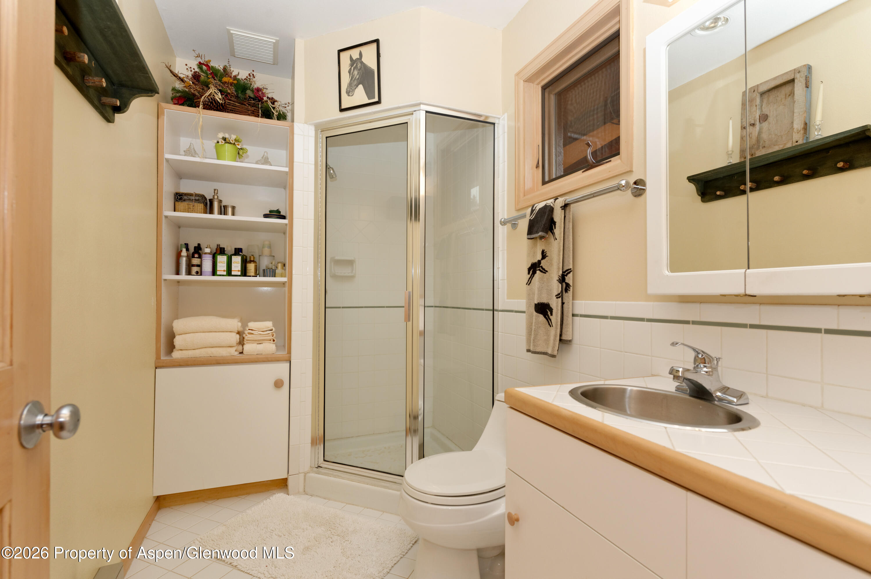 1214 Woody Creek Road Woody Creek CO 81656