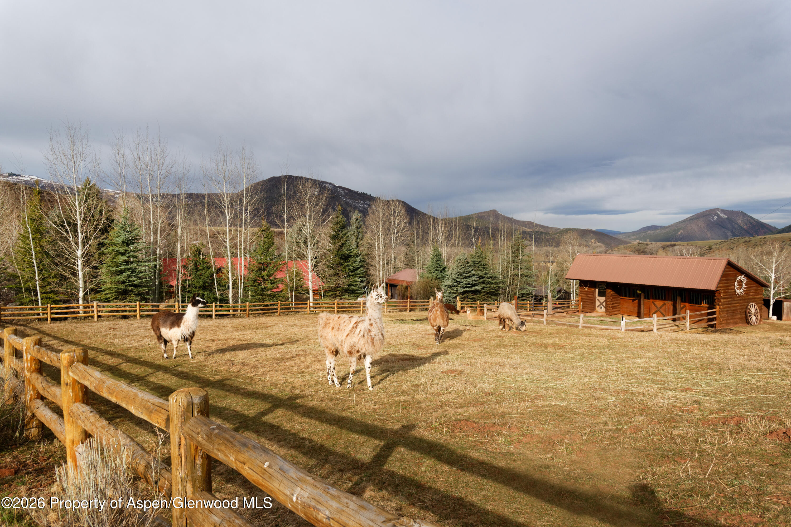 1214 Woody Creek Road Woody Creek CO 81656