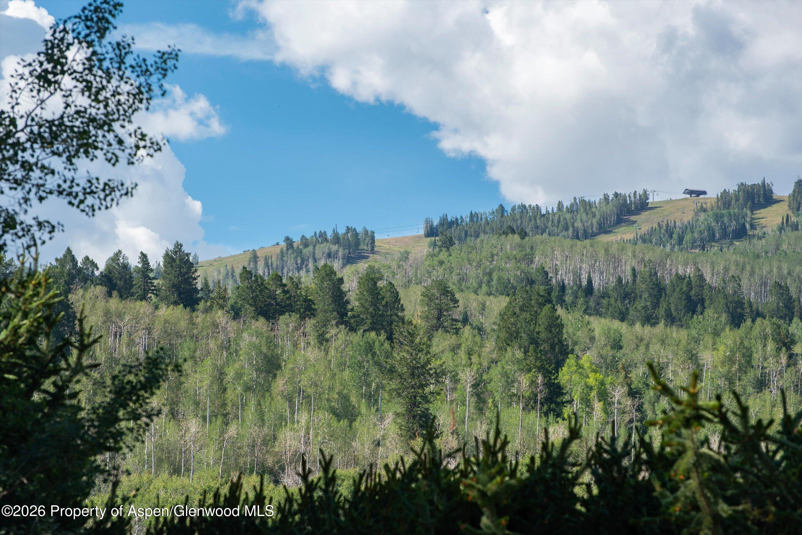 1330 W Buttermilk Road Aspen CO 81611
