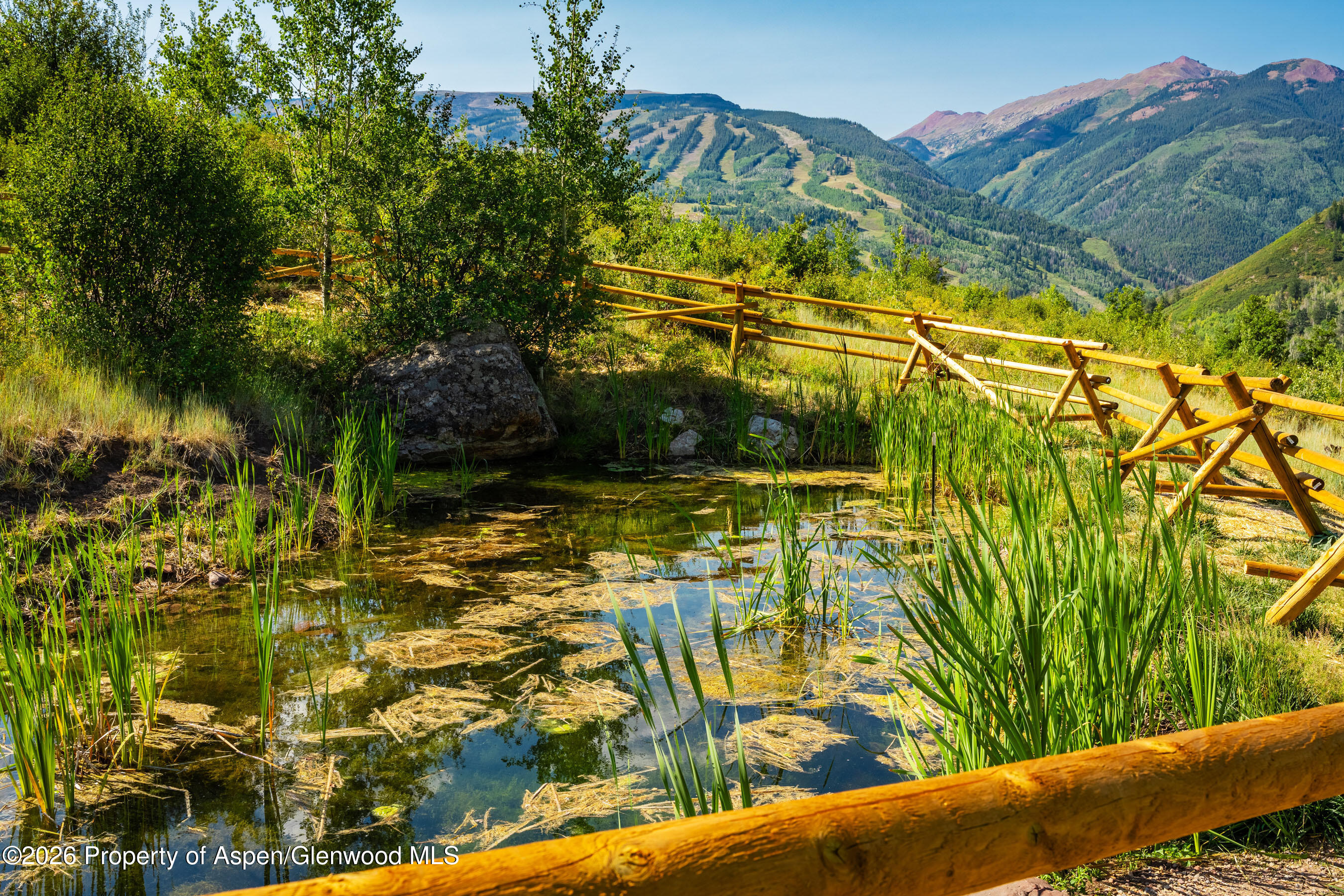 8500 & Tbd Snowmass Creek Road Snowmass CO 81654